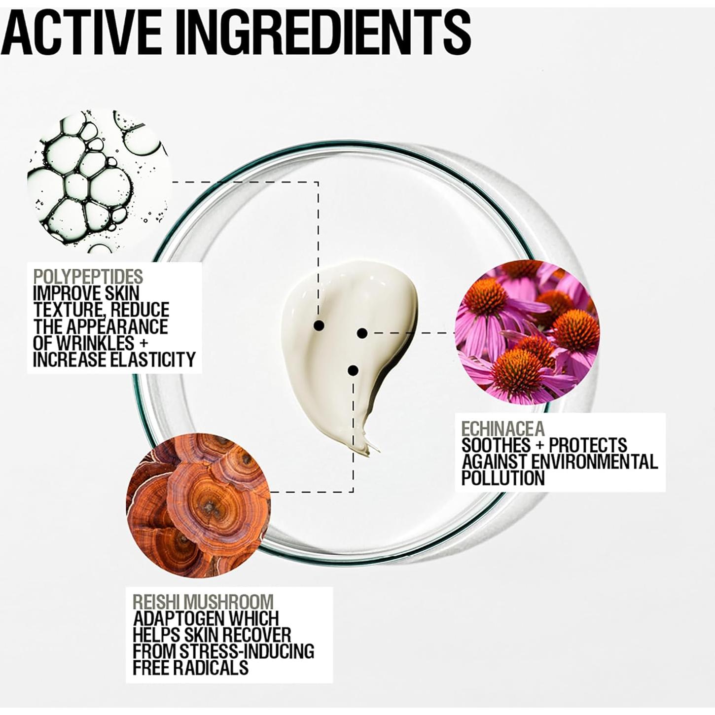 Crema Nocturna Grown Alchemist 40 mL Antienvejecimiento Piel