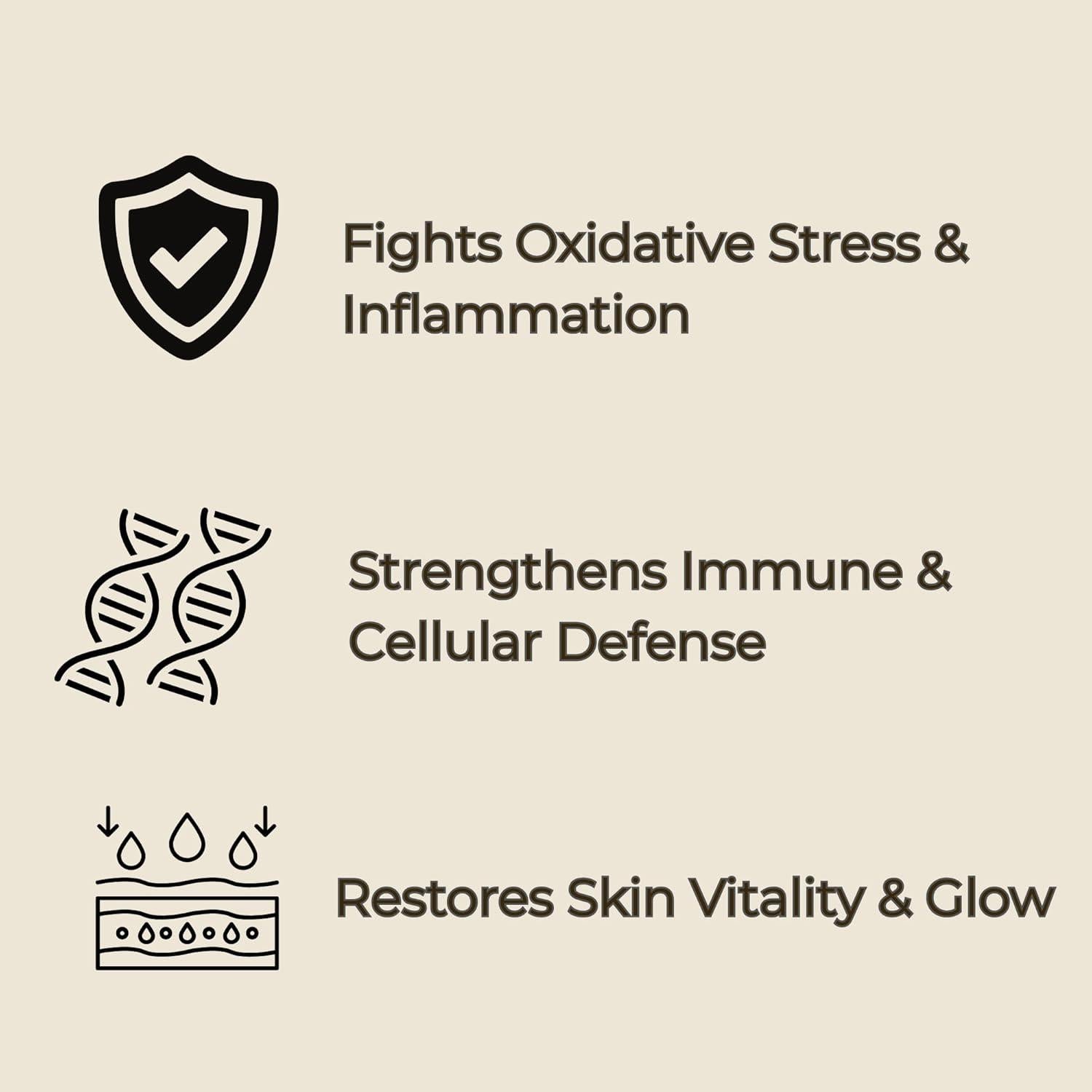 Crema Antioxidante Chaga 113g - King & Queen Wellness