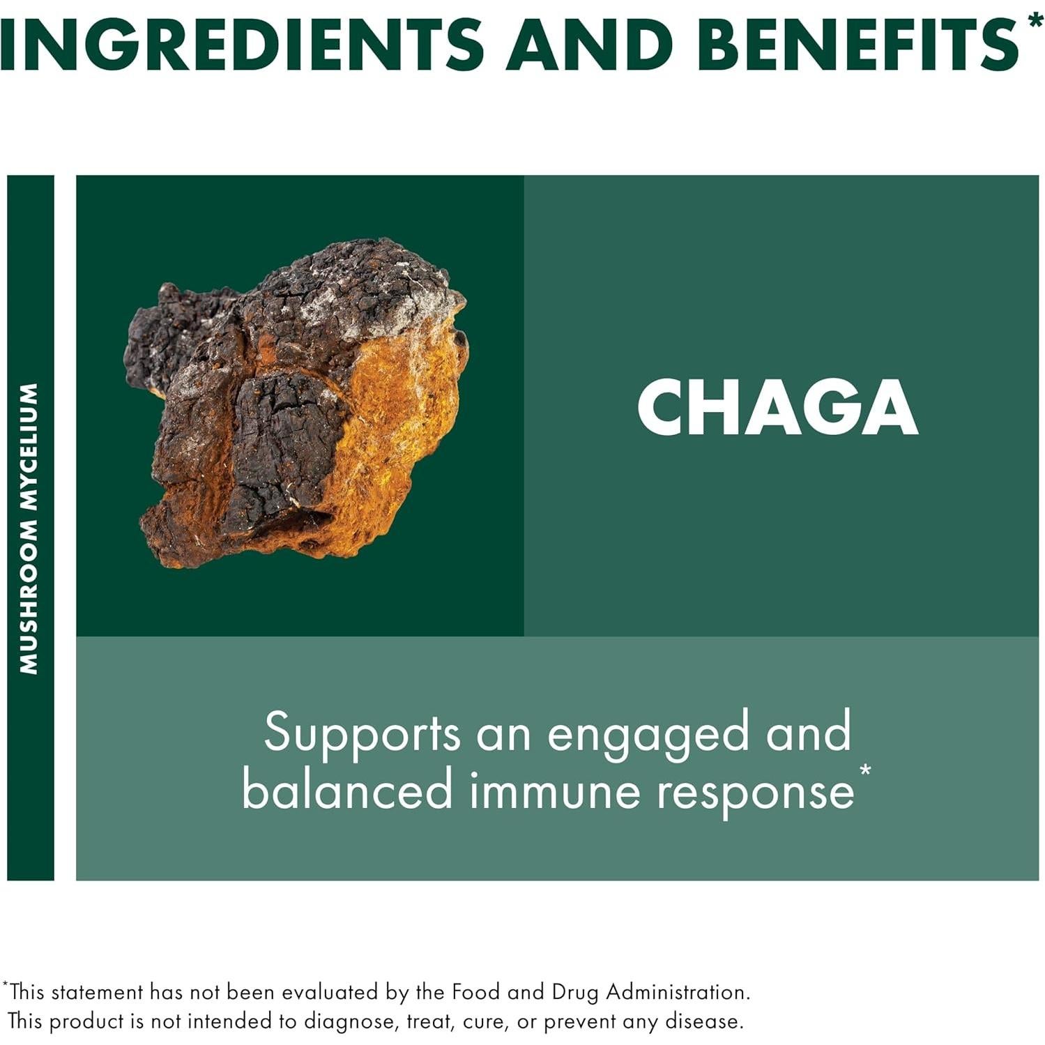 Cápsulas de Chaga Host Defense - Suplemento Inmunológico 60 Unidades
