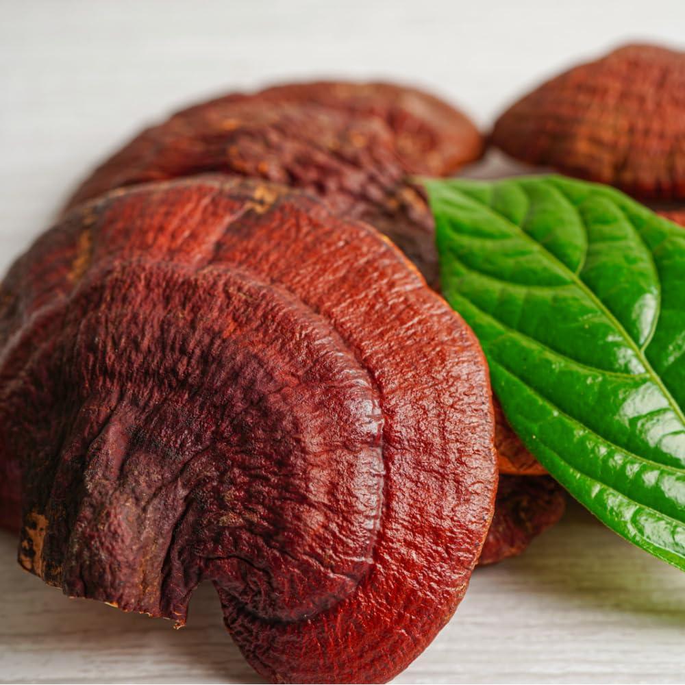 Crema para los Ojos Antienvejecimiento Sang Hwang 19g