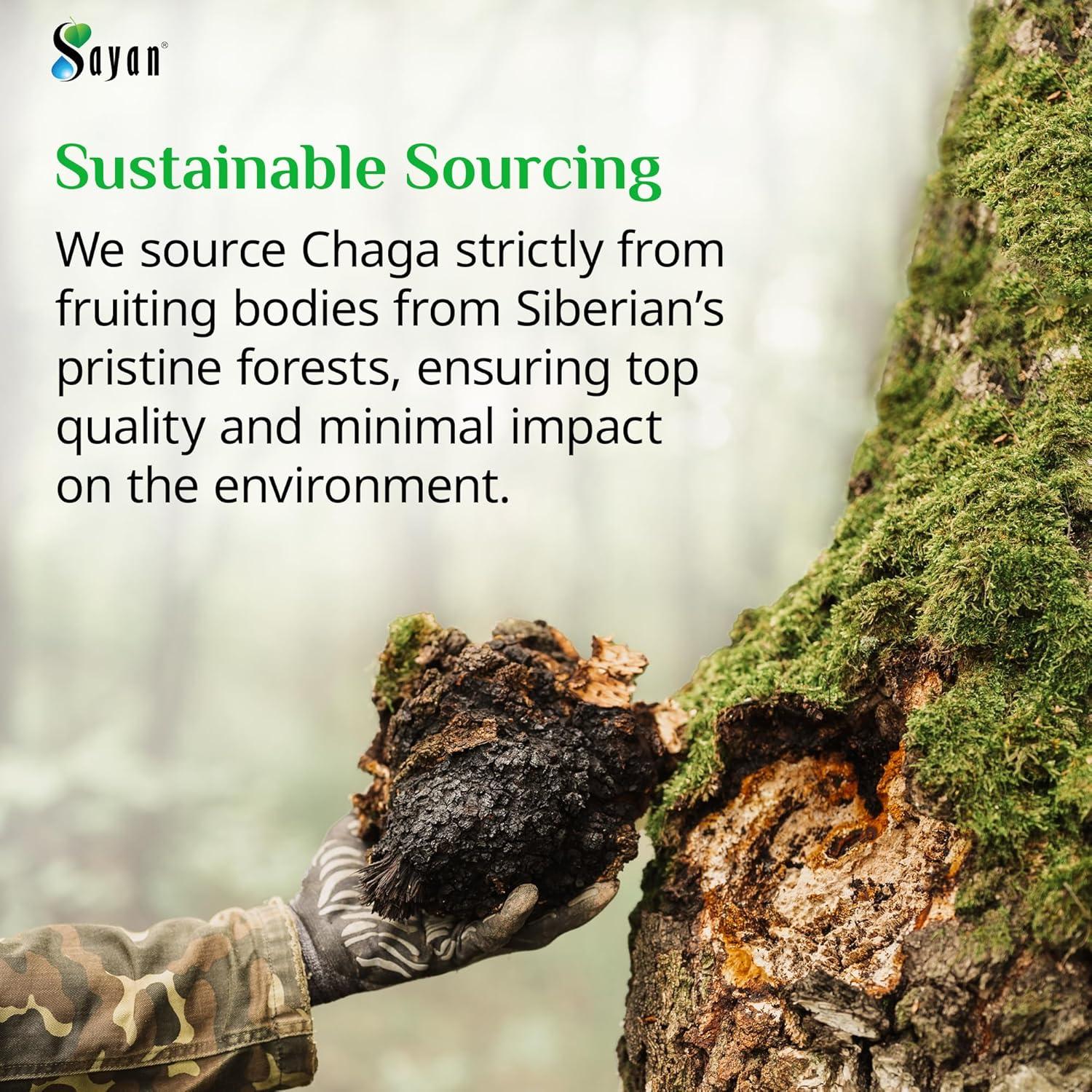 Extracto de Hongo Chaga Sayan - 90 Cápsulas 420mg - Antioxidante Vegano