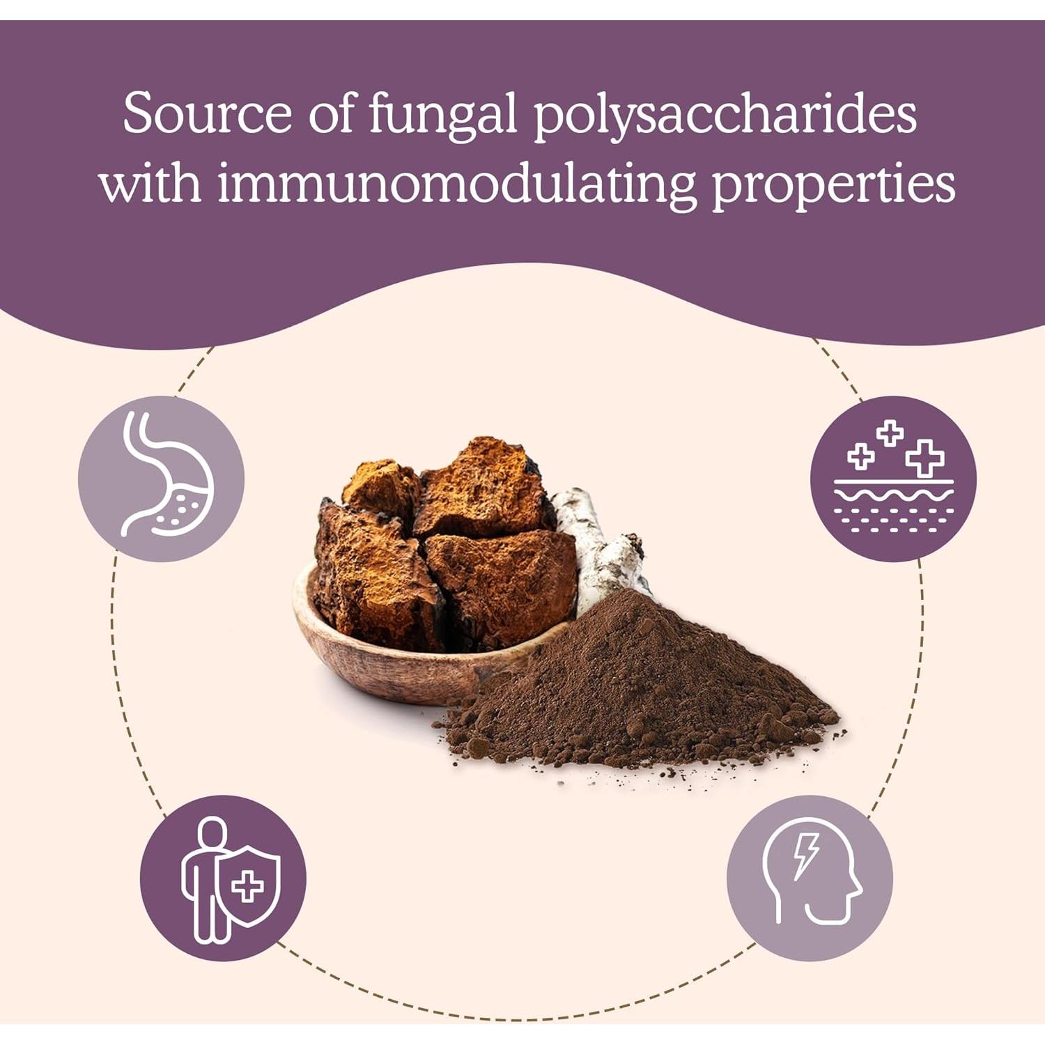 Polvo de Hongo Chaga Orgánico Real Mushrooms 150g - Energía y Bienestar