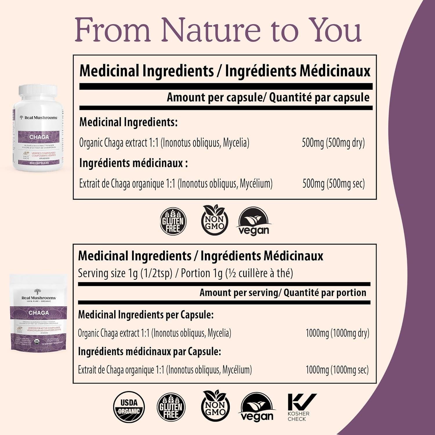 Polvo de Hongo Chaga Orgánico Real Mushrooms 150g - Energía y Bienestar