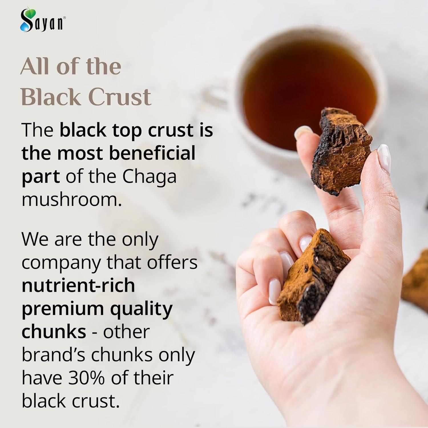 Trozos de Hongo Chaga Sayan 454 g - Té Antioxidante Premium