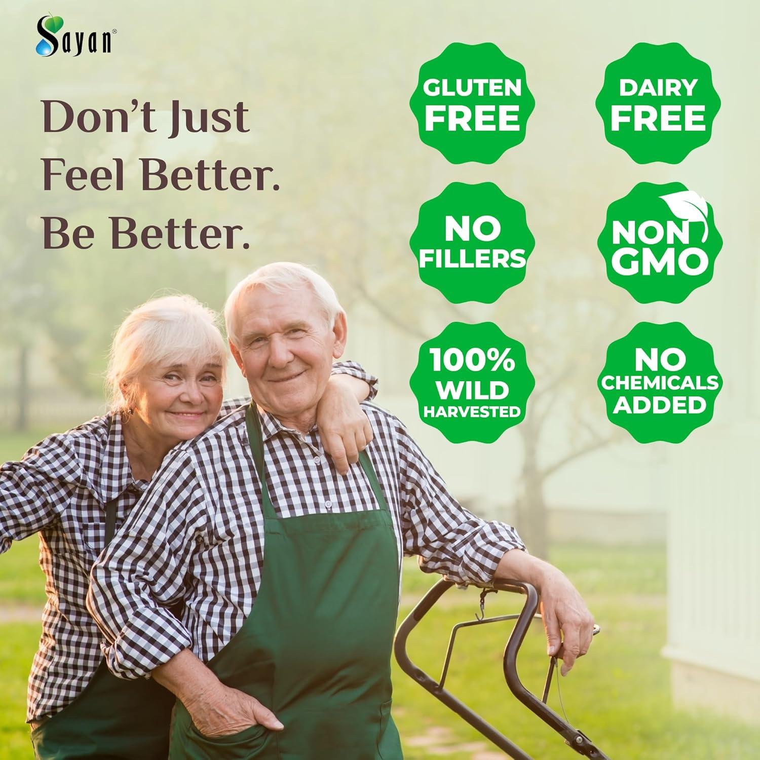 Trozos de Hongo Chaga Sayan 454 g - Té Antioxidante Premium