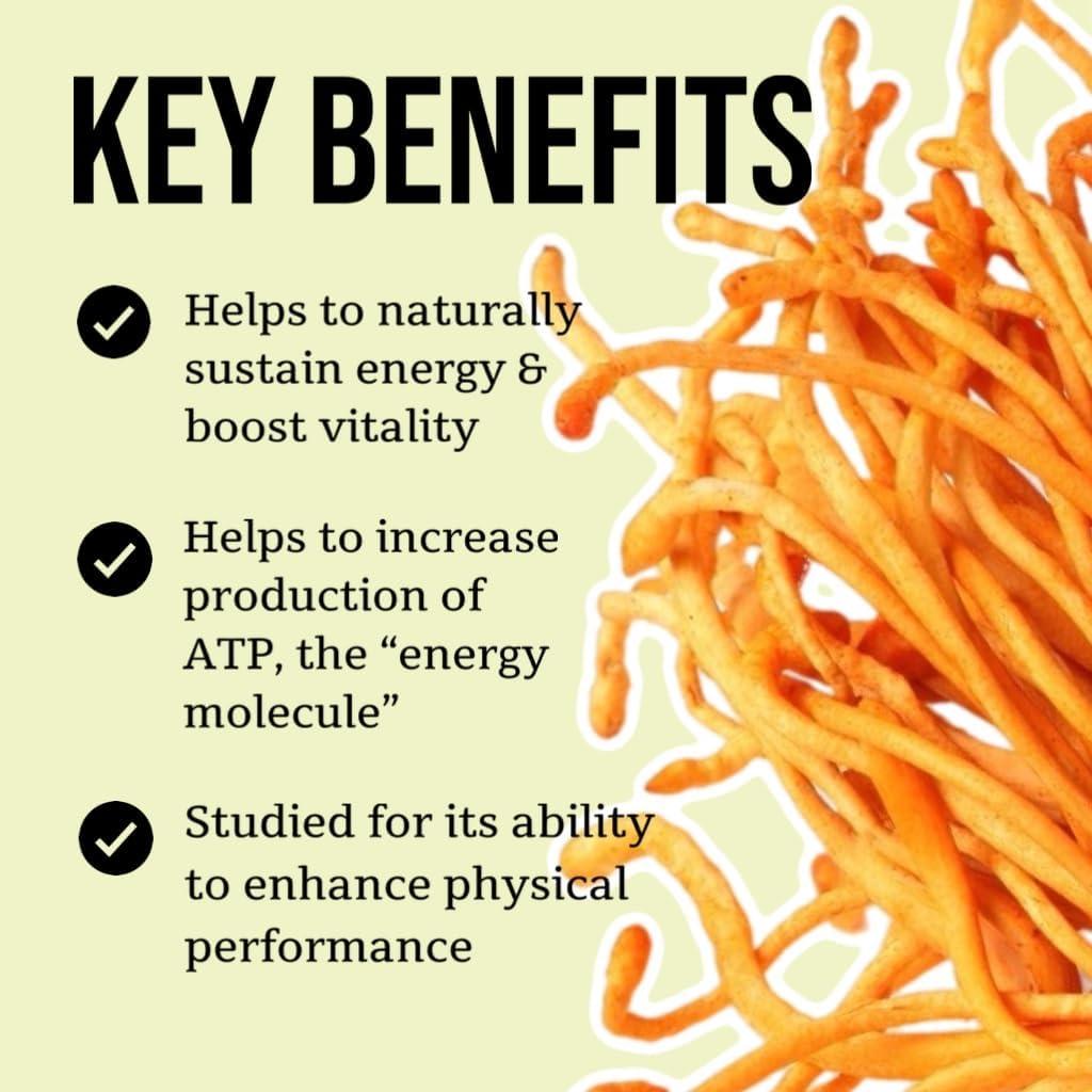 Tintura de Hongo Cordyceps Orgánico North Spore 118 ml - Energía y Vitalidad