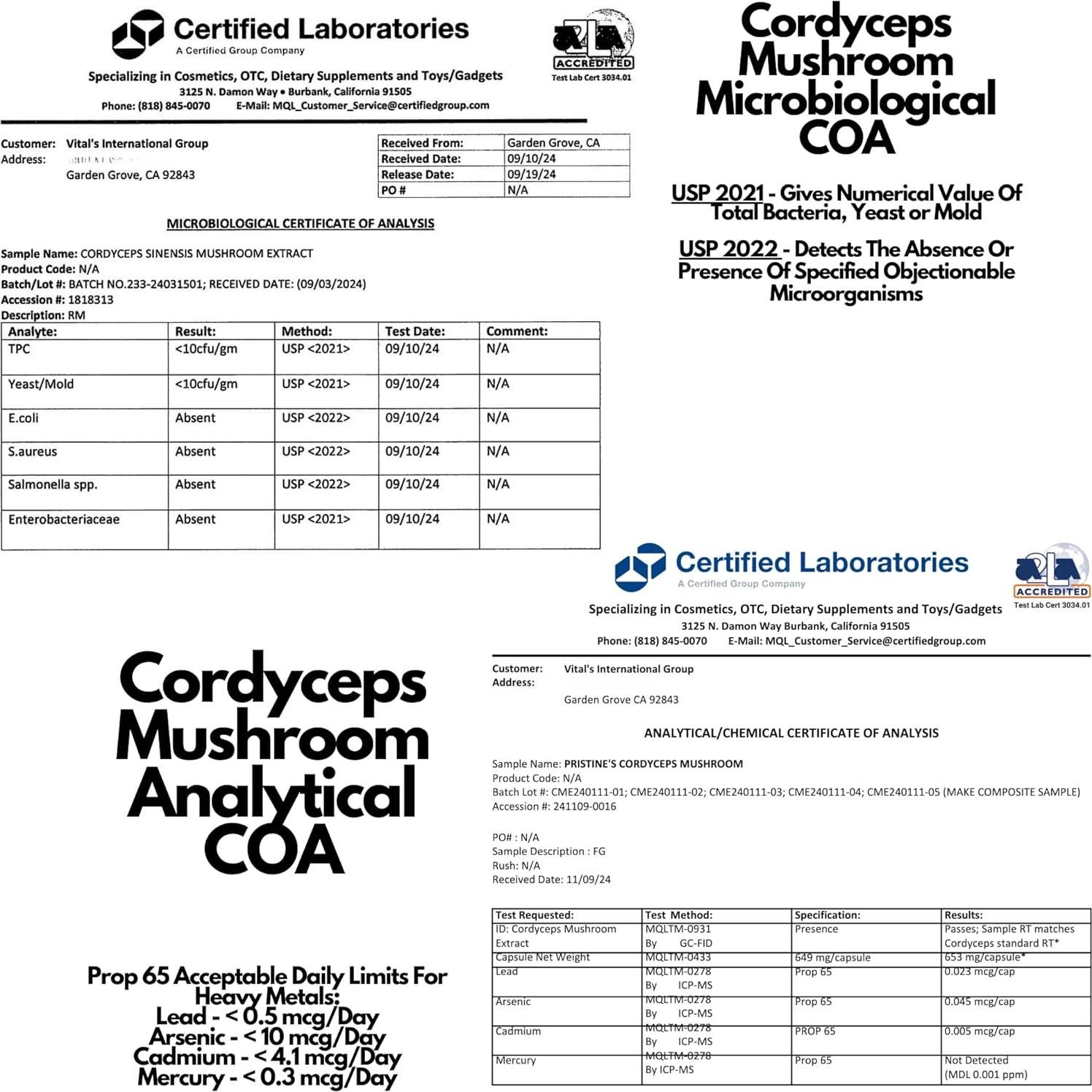 Cápsulas de Hongo Cordyceps PRISTINE 1000 mg - 60 Días