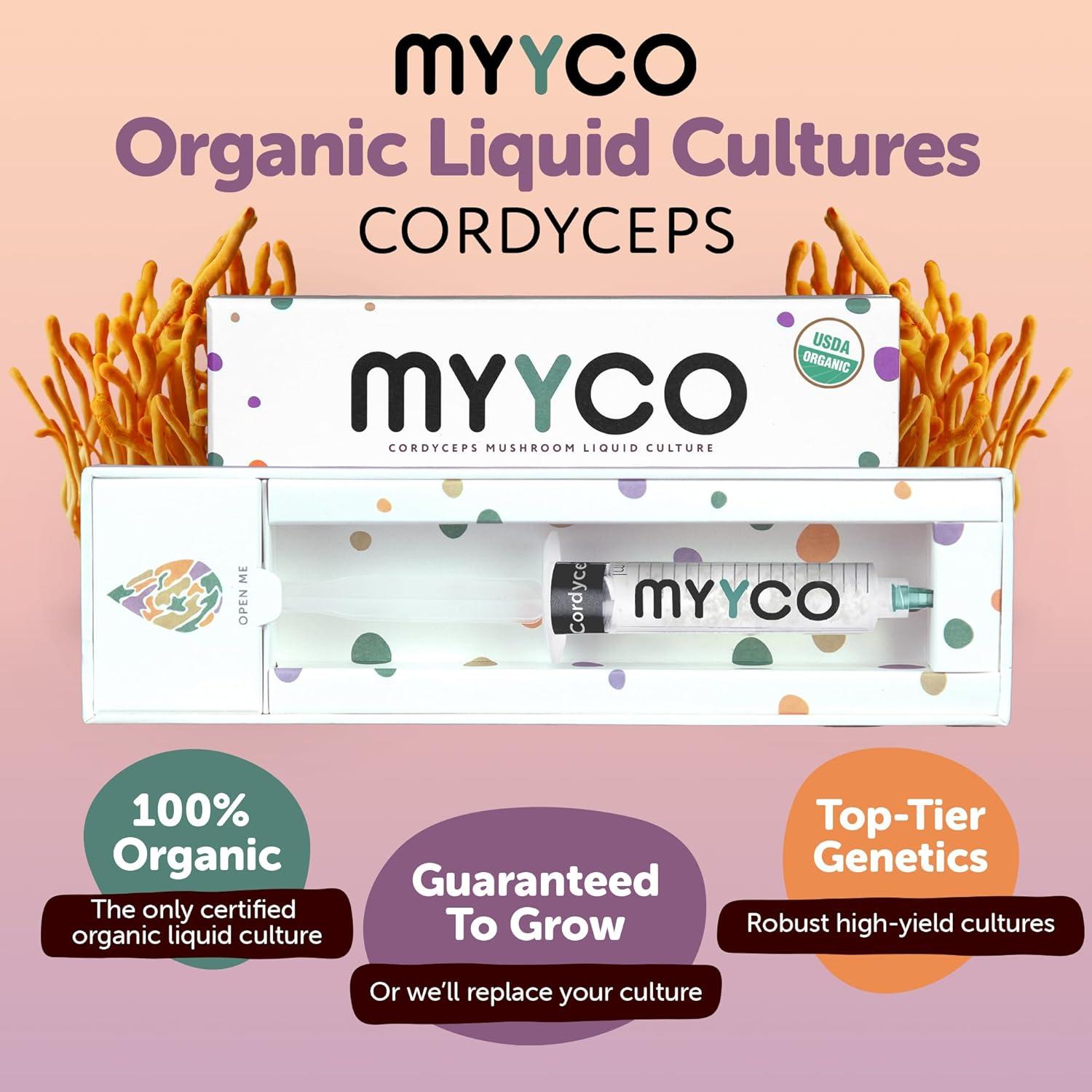 Cultivo Líquido de Cordyceps Orgánico MYYCO - Crecimiento Rápido