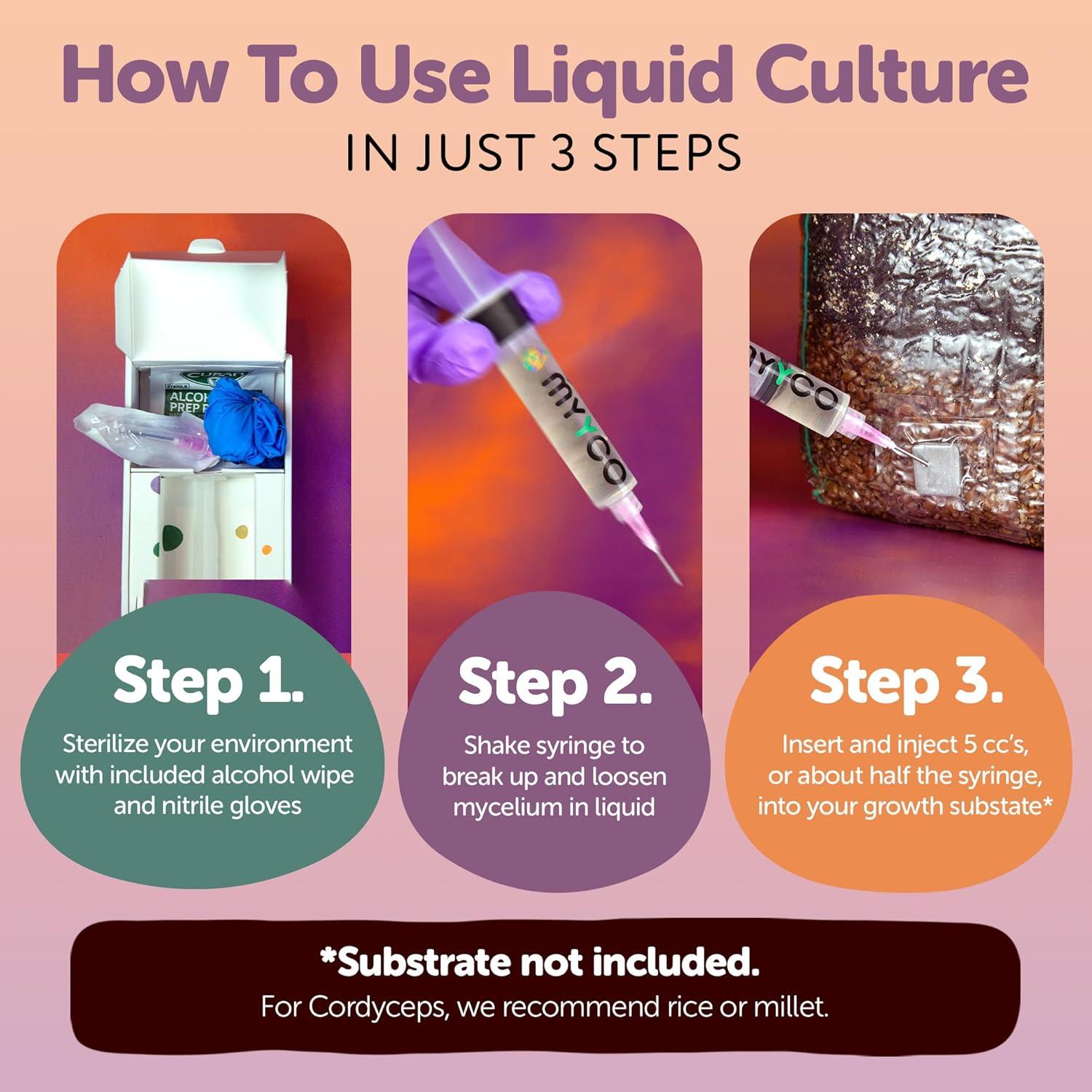 Cultivo Líquido de Cordyceps Orgánico MYYCO - Crecimiento Rápido