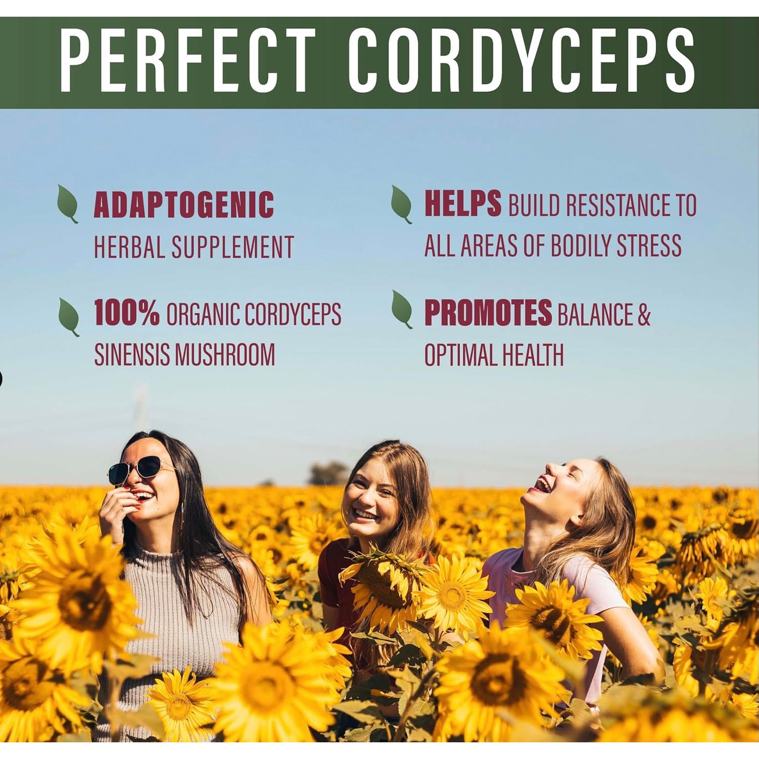 Suplemento Herbal Adaptogénico Perfecto Cordyceps 90 Cápsulas