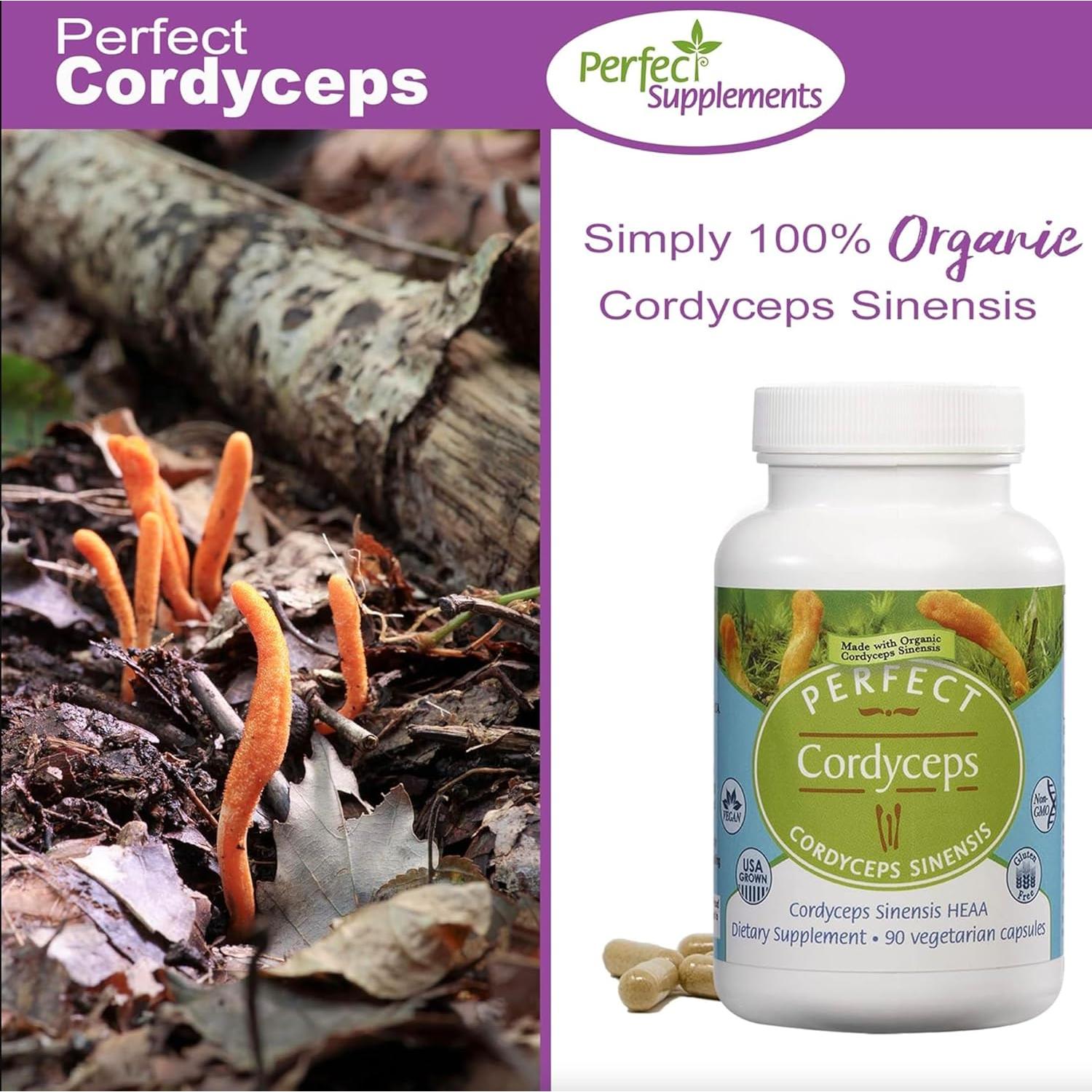 Suplemento Herbal Adaptogénico Perfecto Cordyceps 90 Cápsulas