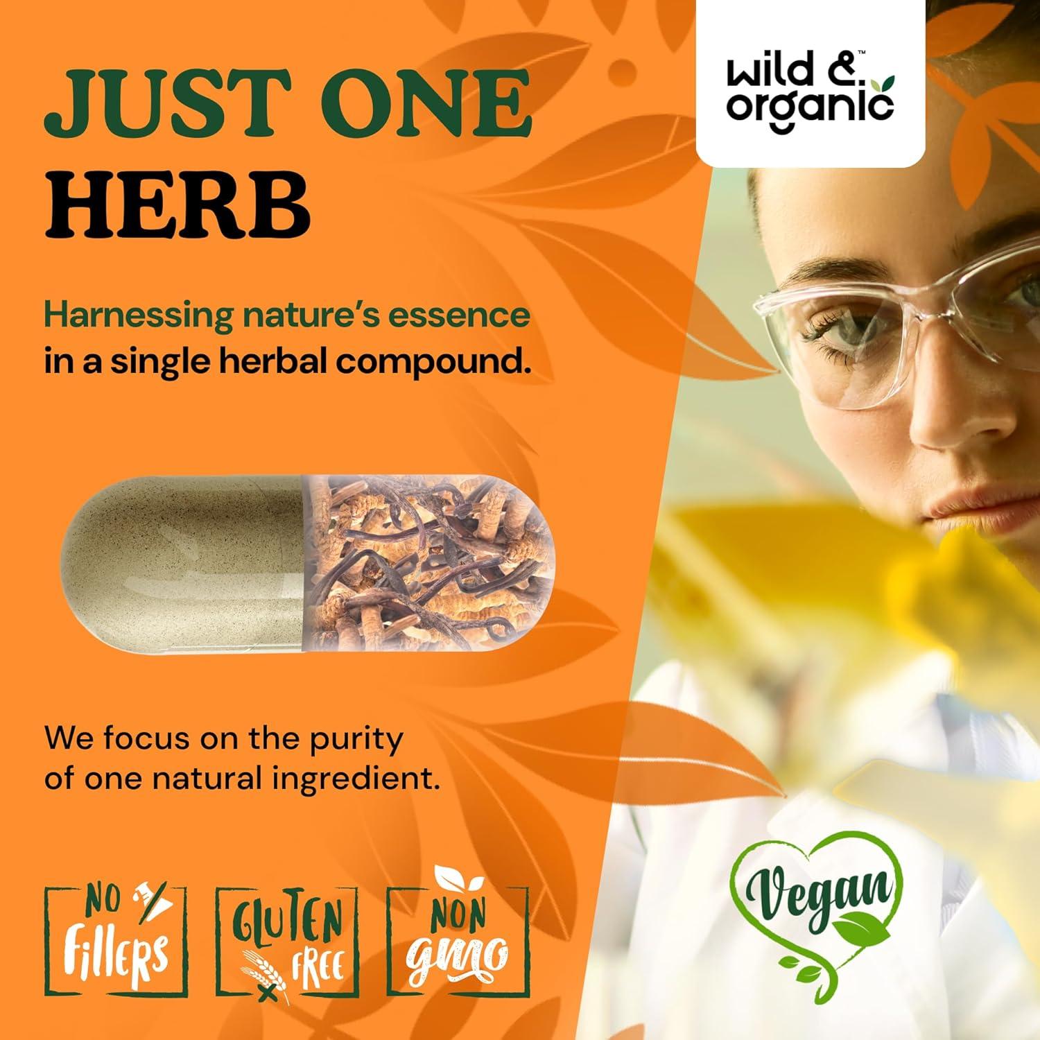 Cápsulas de Cordyceps Silvestre y Orgánico 1200 mg - 180 Unidades