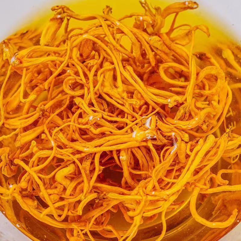 Hongo Cordyceps Militaris Seco SIFANGDA 1000g - Sin Aditivos