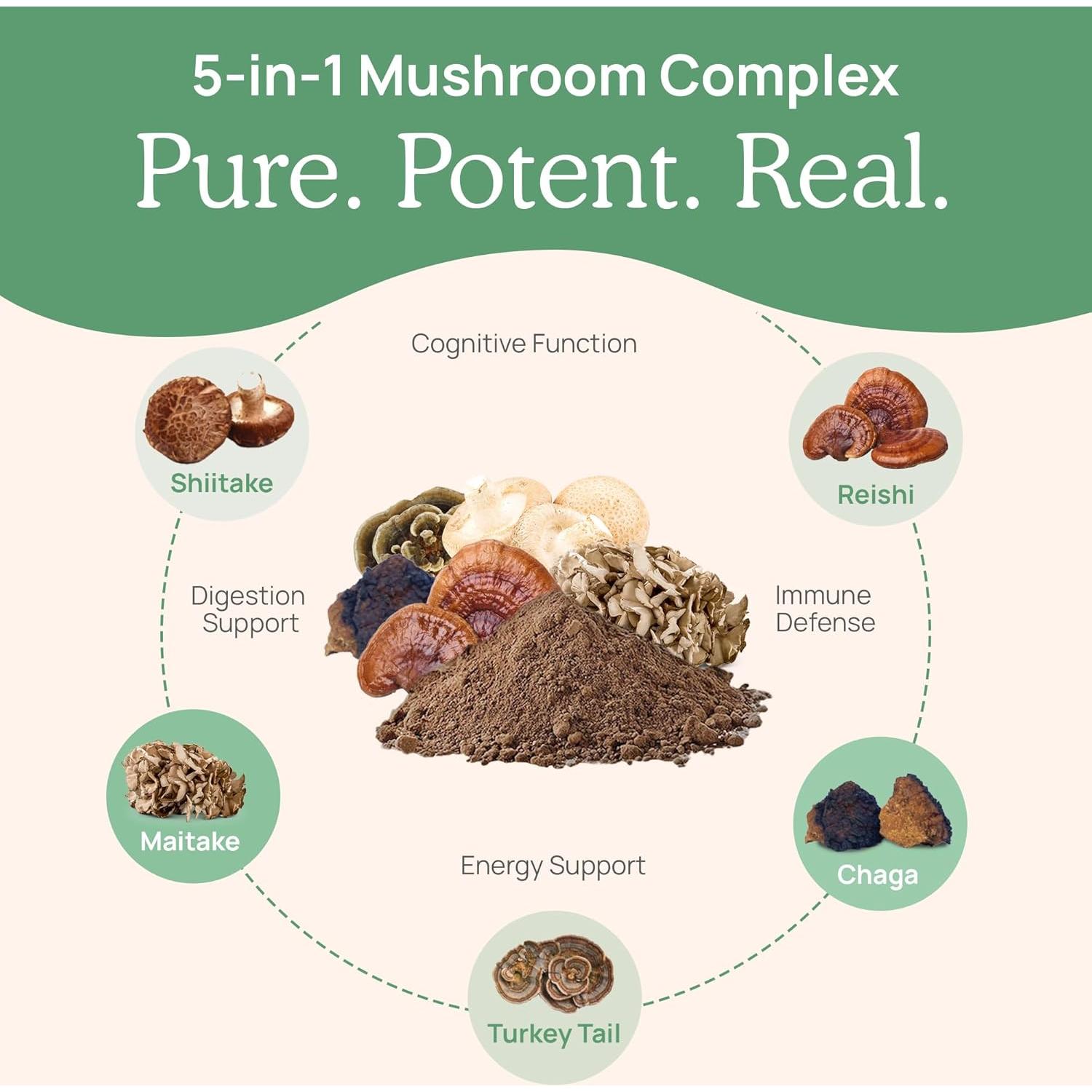 Real Mushrooms Complejo de Hongos 5 en 1 - 45g