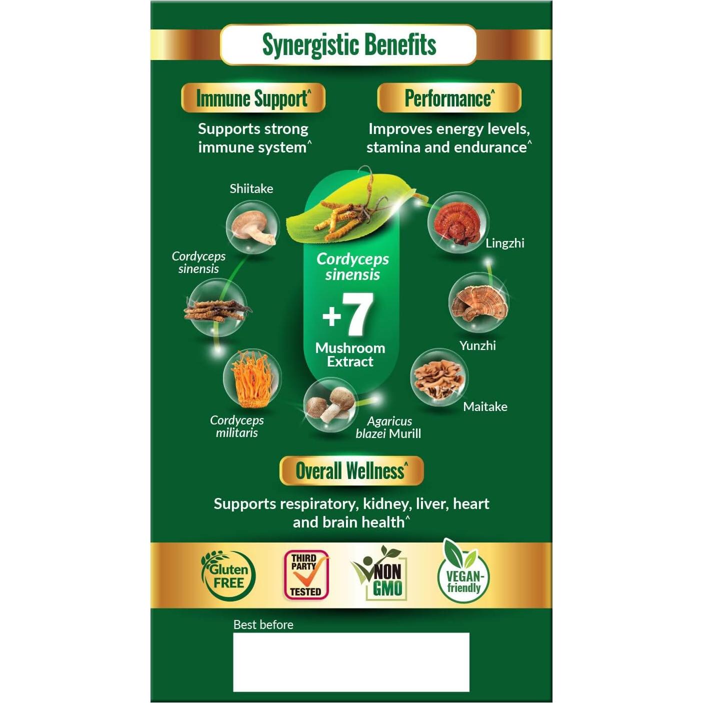 Suplemento Orgánico Cordyceps Ultra LABO Nutrition 108g