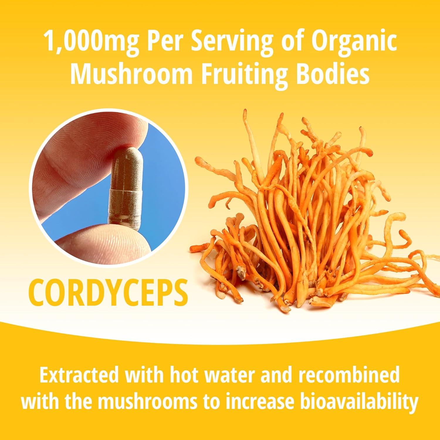 Cápsulas de Cordyceps ENCAPSULATE 1000mg - Suplemento Adaptógeno