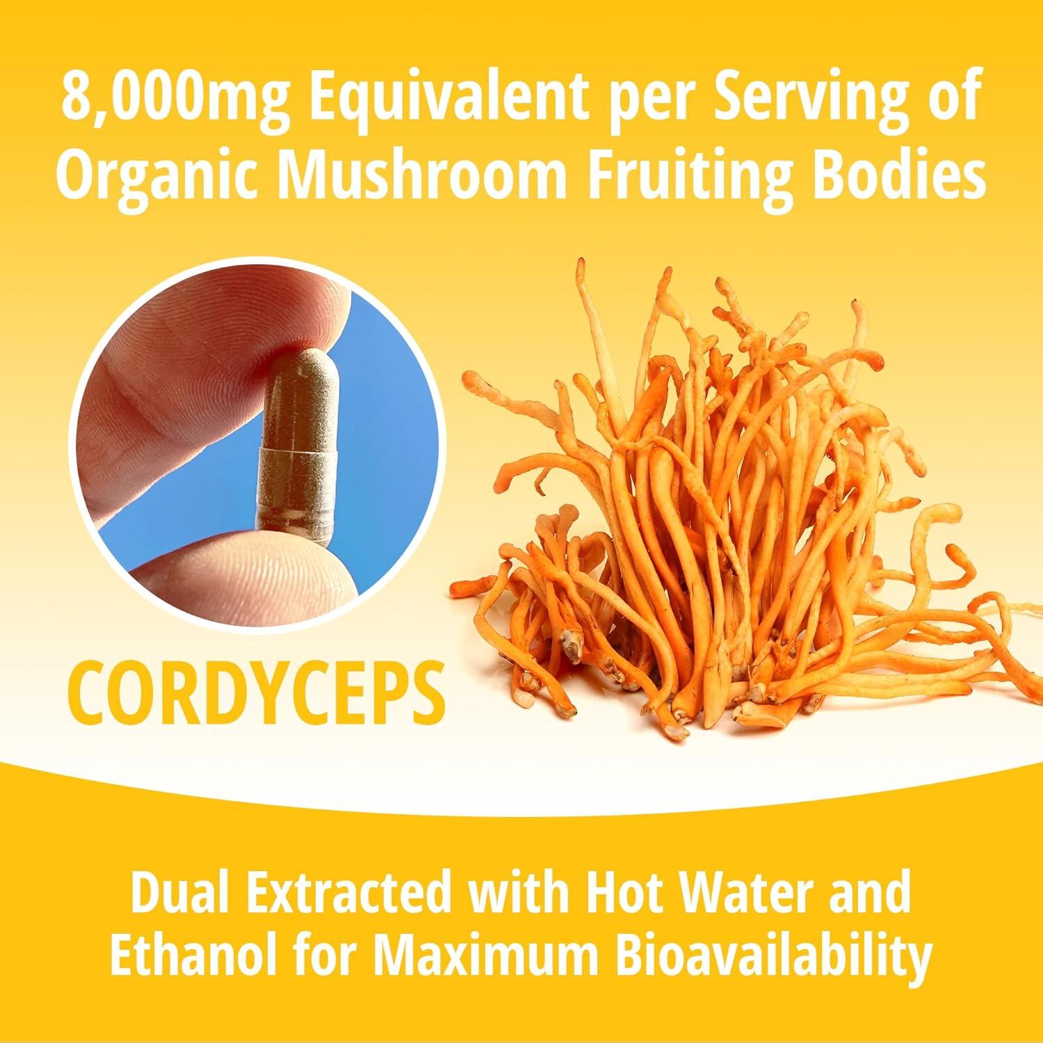 Cápsulas de Cordyceps ENCAPSULATE 60 Unidades - Extracto Orgánico 8:1