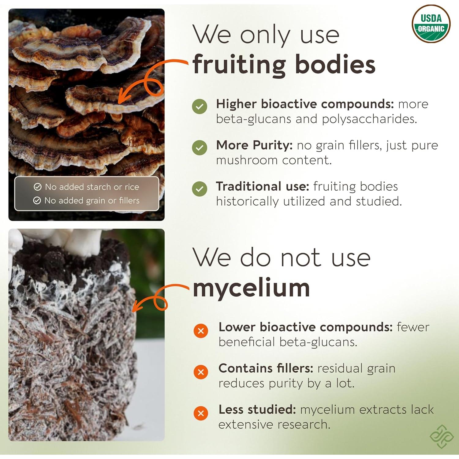 Mezcla de Hongos Orgánicos Super Seis Longevity 100g - 100% Cuerpos Fructíferos