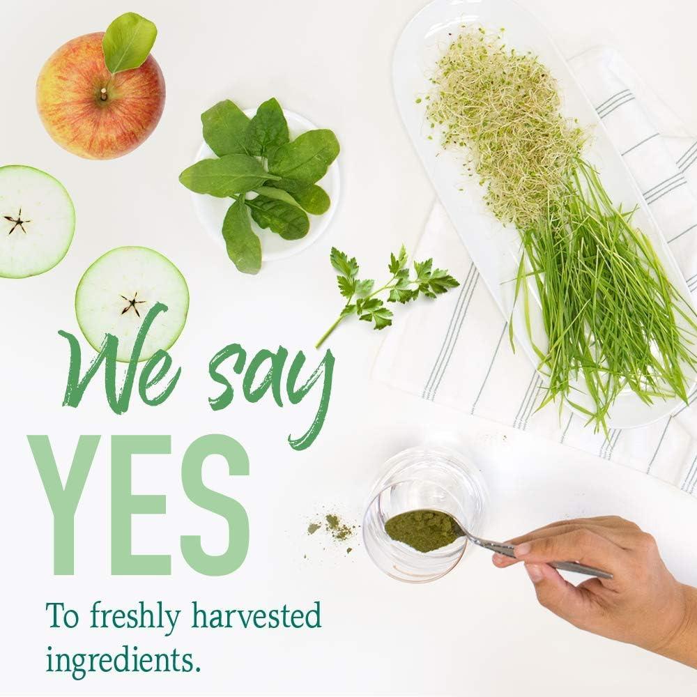 Alimento Perfecto Orgánico Crudo Jardín de Vida 30 Porciones