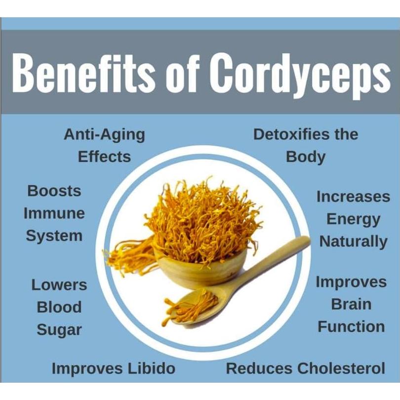 Cordyceps Militaris Seco 50g - Hongo Herbal Coreano