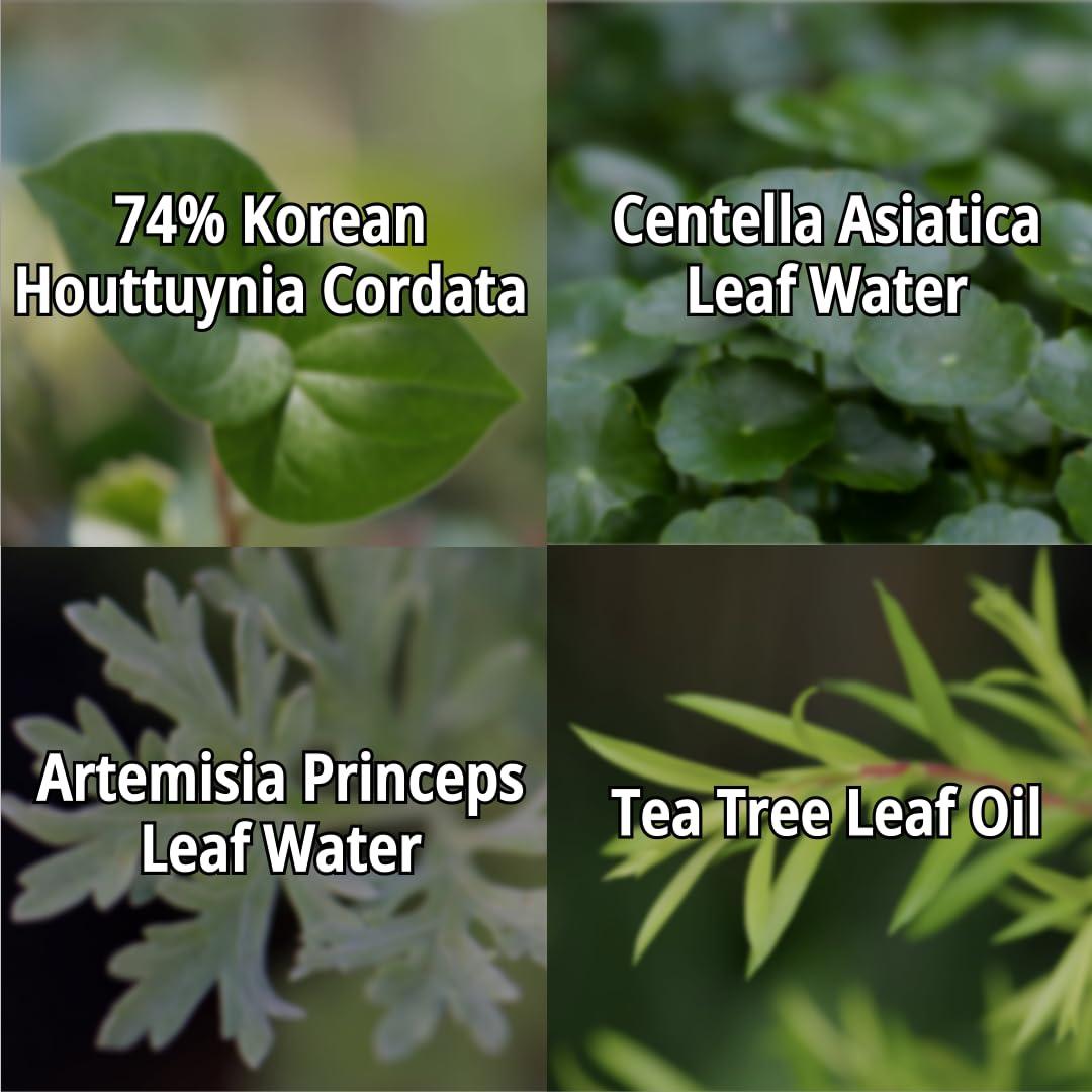 Crema Calmante Facial Daymellow 80ml - Hidratante Coreano