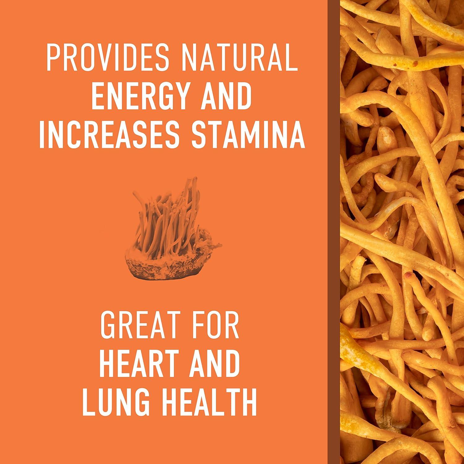 Suplemento en polvo de hongo Cordyceps orgánico Steep Into It 45g