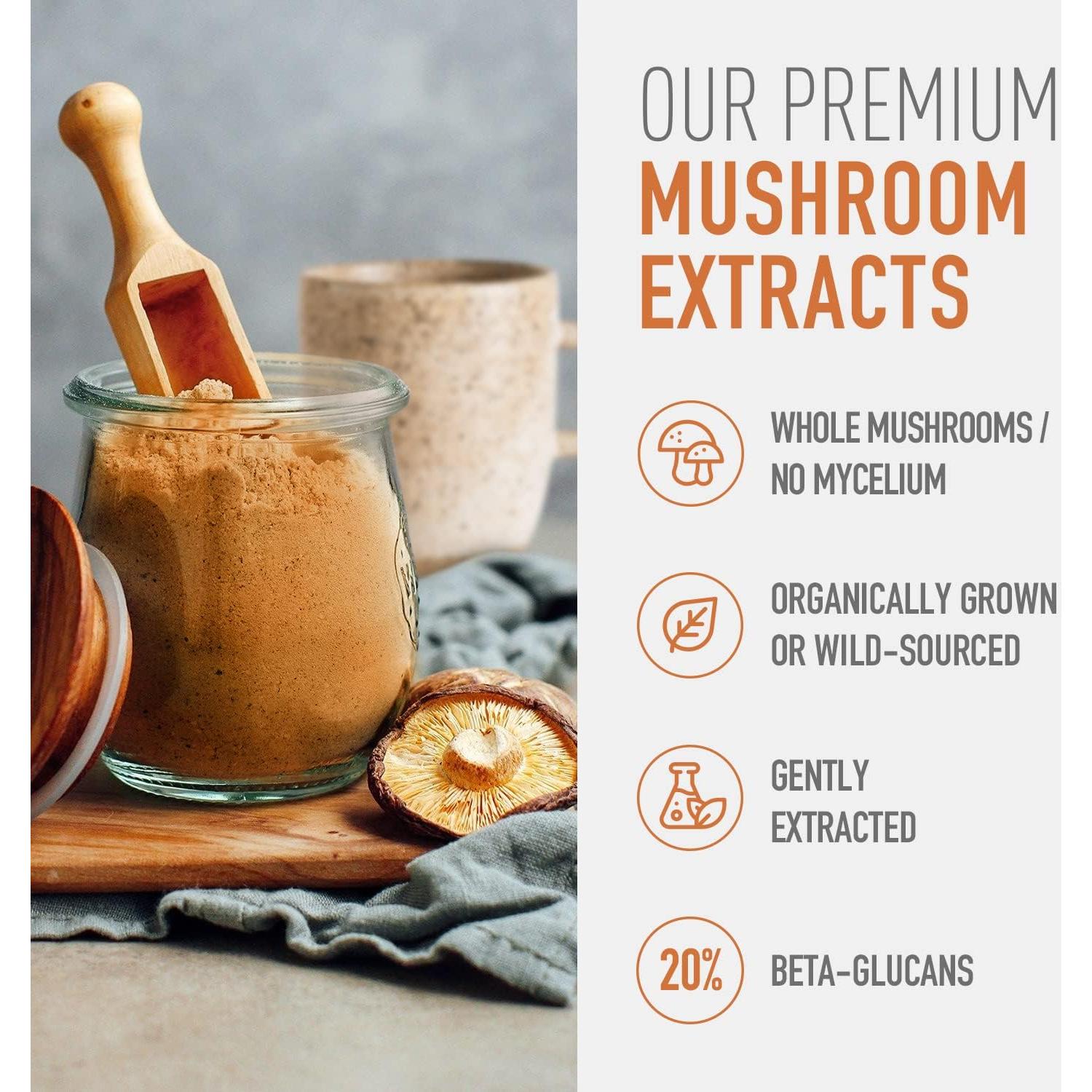 Suplemento en polvo de hongo Cordyceps orgánico Steep Into It 45g