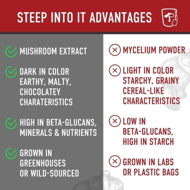 Suplemento en polvo de hongo Cordyceps orgánico Steep Into It 45g