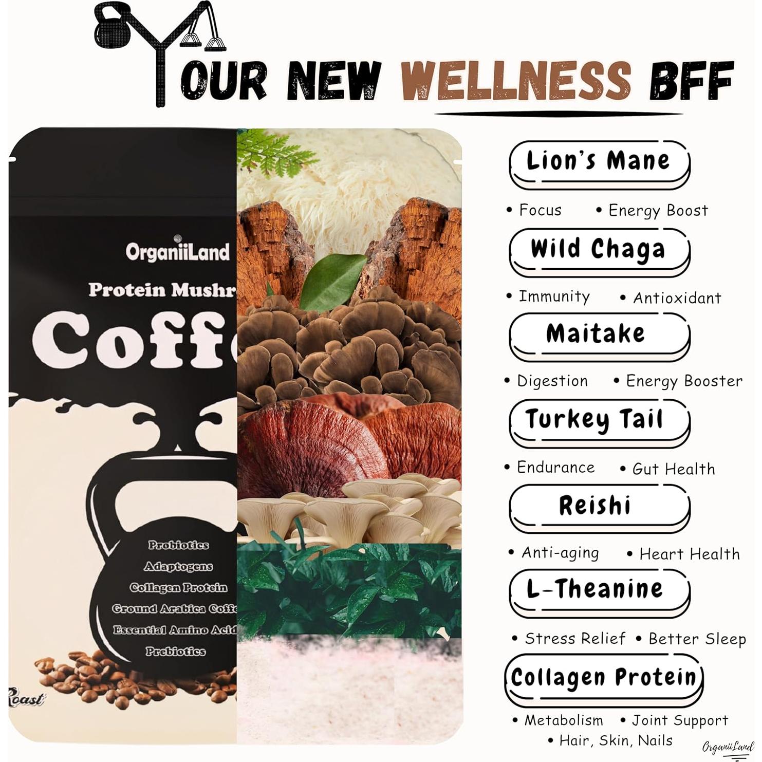 Café de Champiñones OrganiiLand con Colágeno y Proteína 30 Porciones