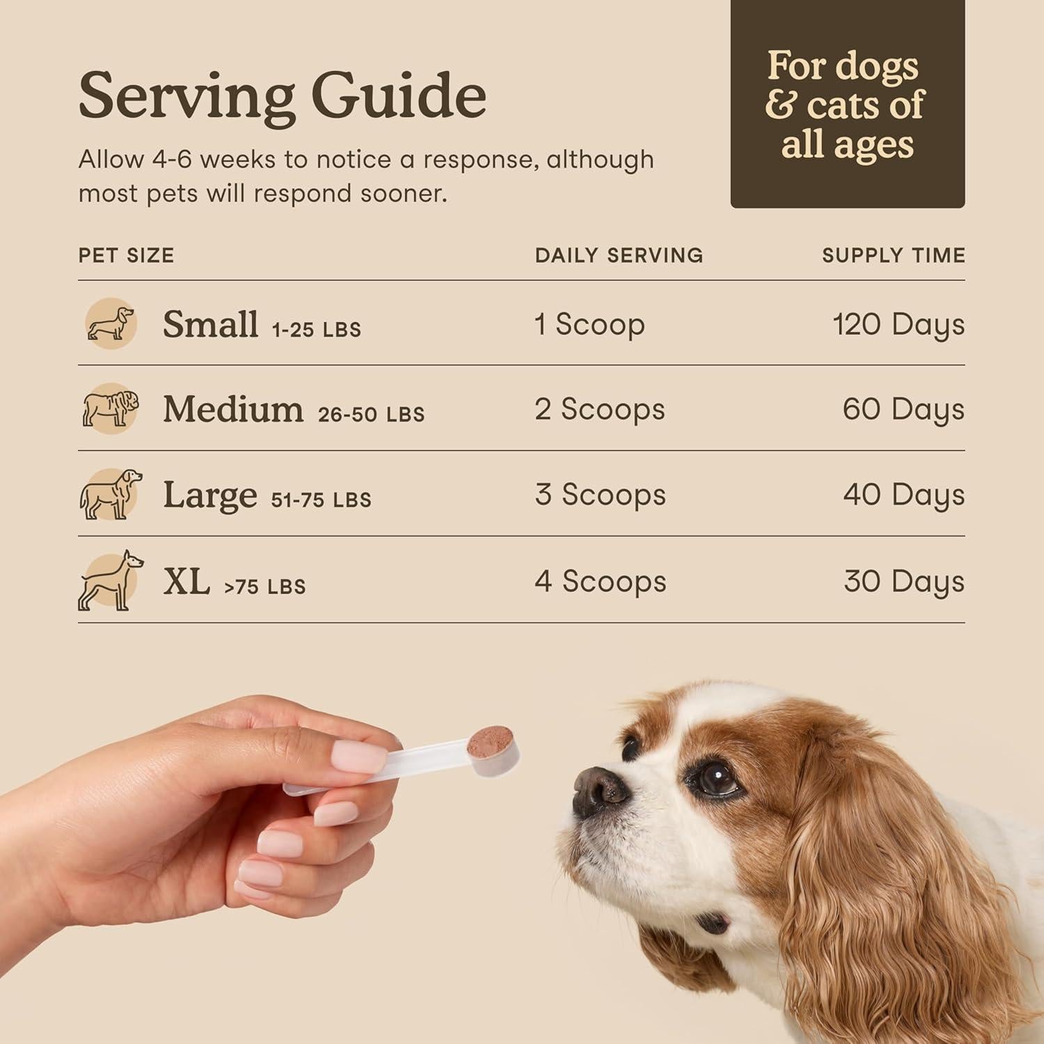 Suplemento de Hongos Fera Pets para Perros y Gatos - 120 Cucharadas