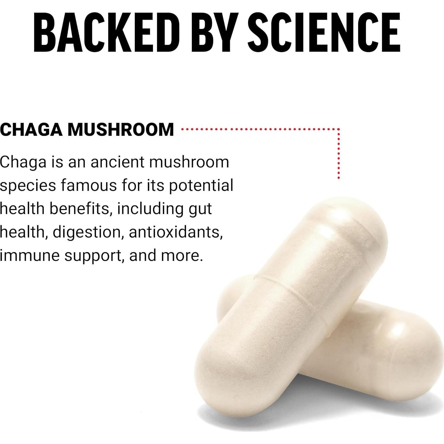 Cápsulas de Chaga Force Factor 120 Veganas 100% Naturales