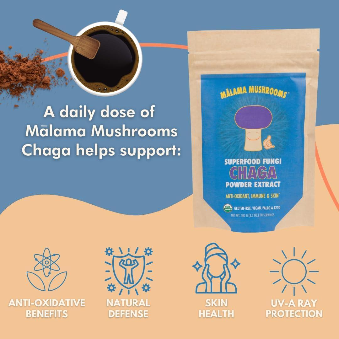 Polvo de Hongo Chaga Orgánico Malama 110g - Superalimento Adaptogénico