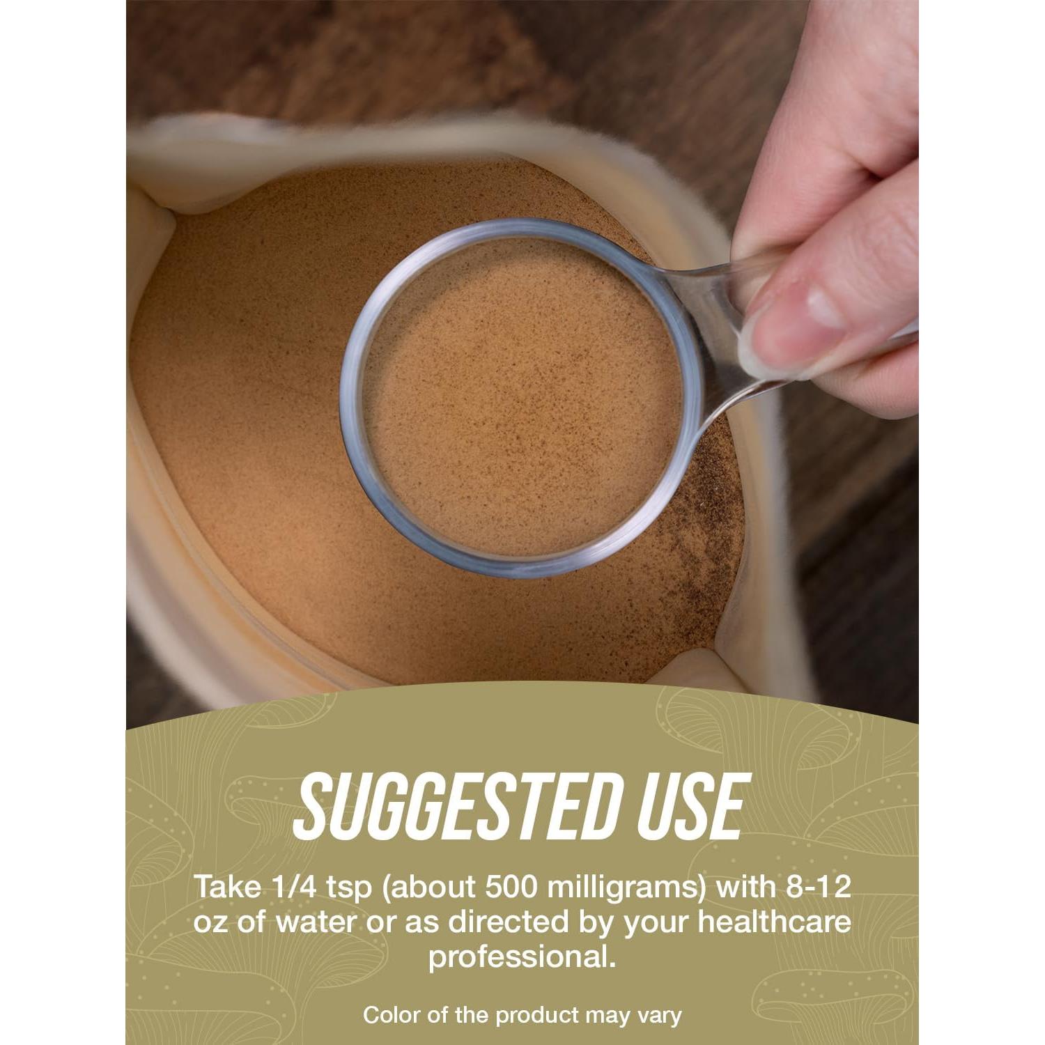 Polvo de Hongo Chaga Orgánico BulkSupplements 500g Vegano