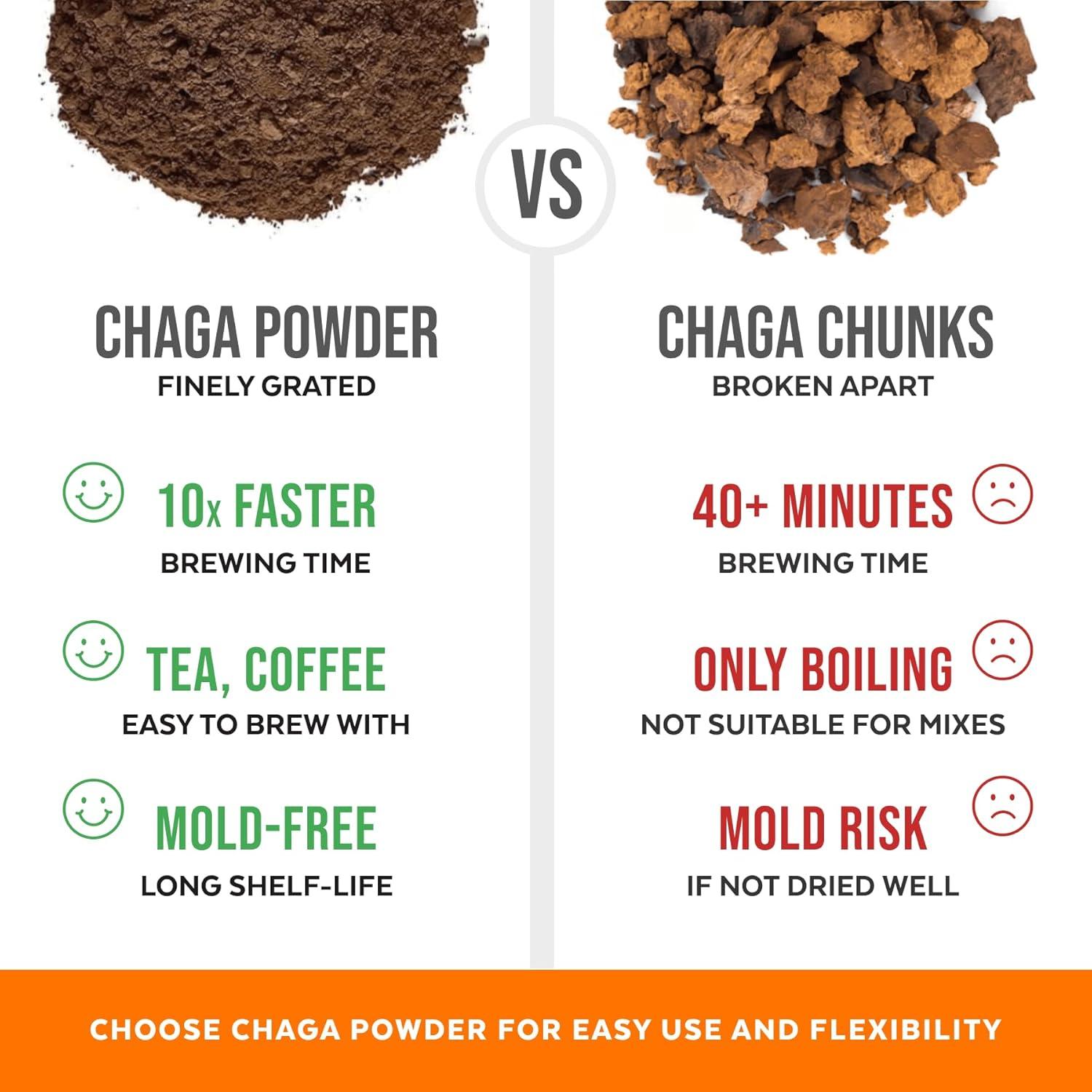 Polvo de Champiñones Chaga Orgánico 99.2g - Energía y Inmunidad