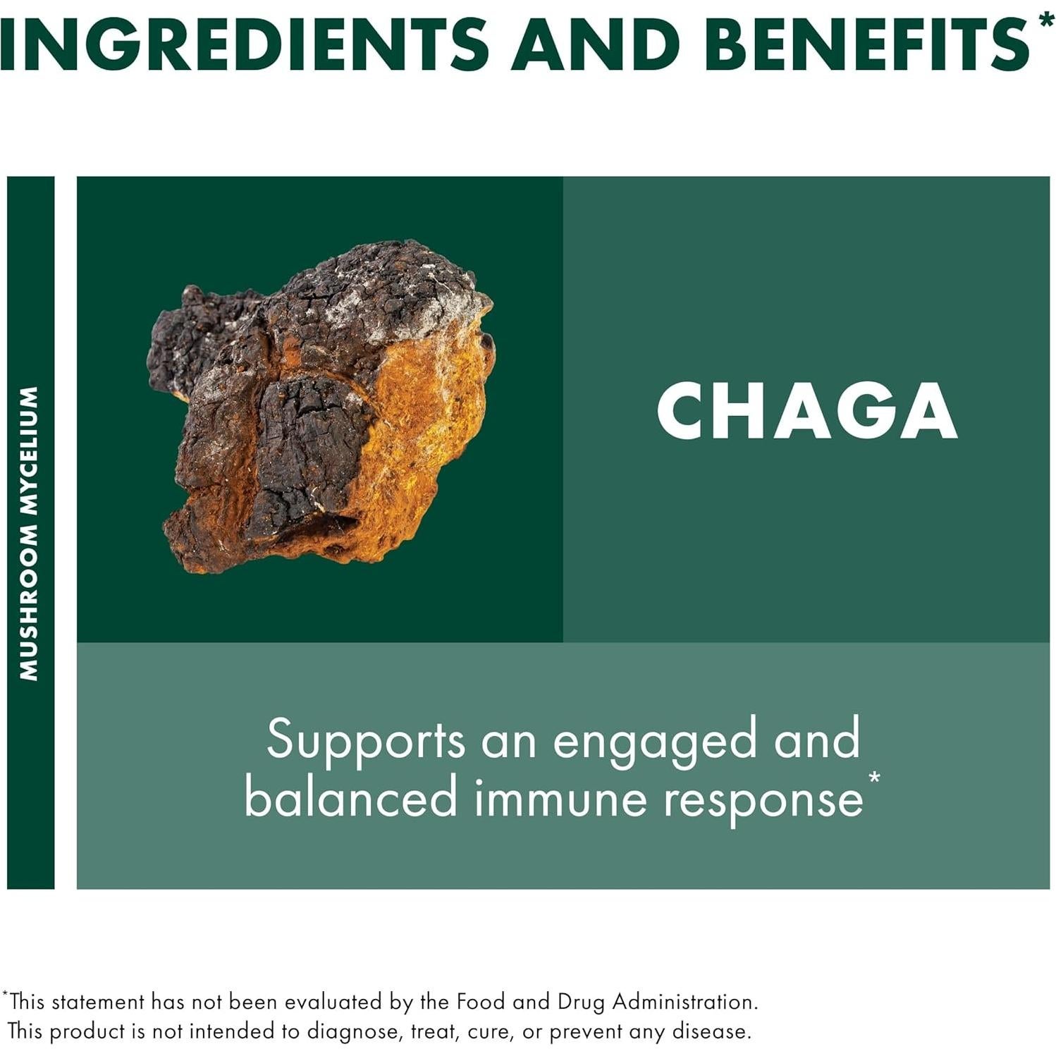 Extracto de Chaga Host Defense 30ml - Suplemento Inmunológico