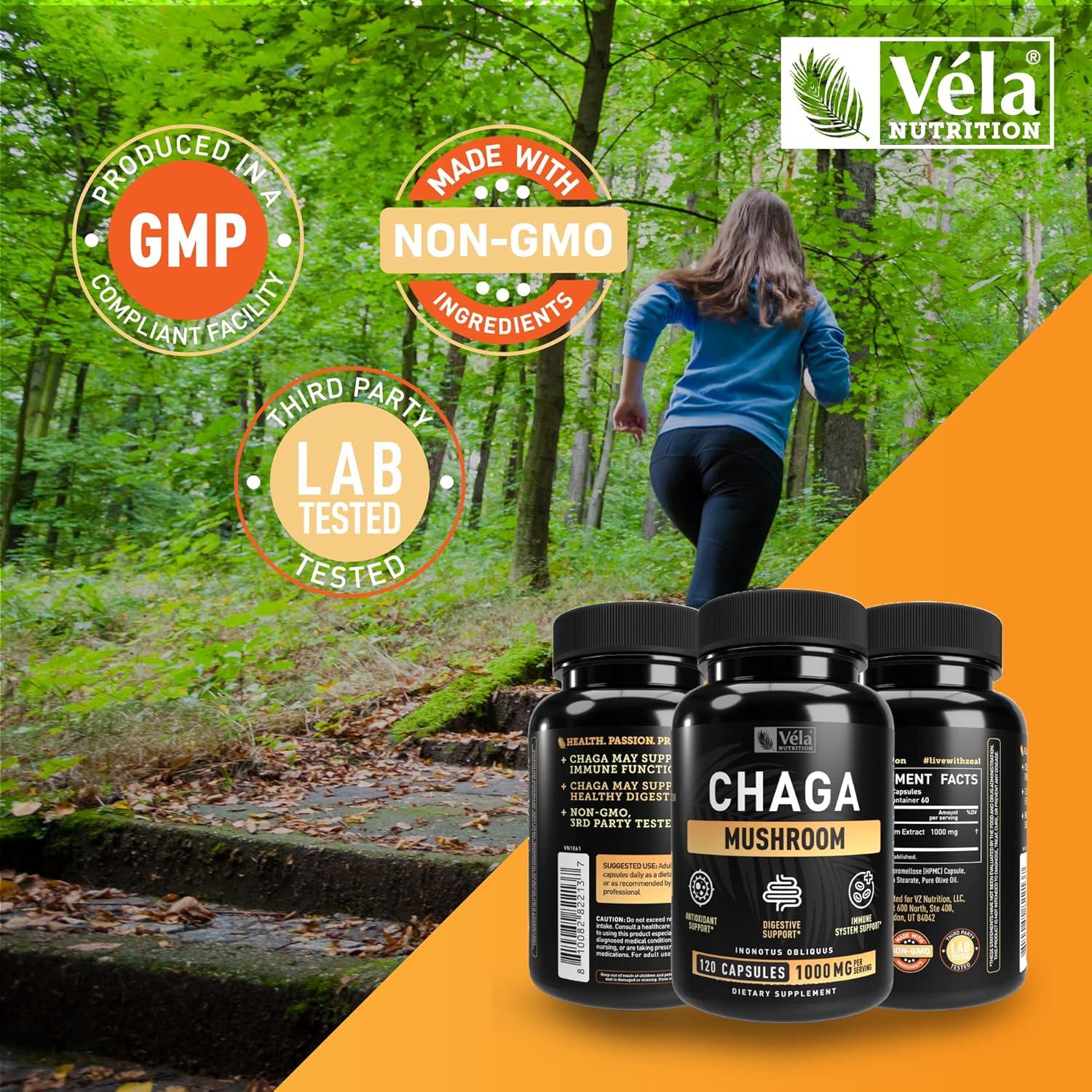 Suplemento de Hongo Chaga Vela 1500 mg 120 Cápsulas