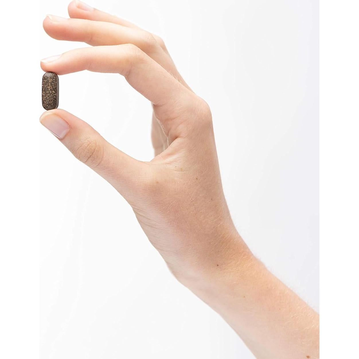 Suplemento Dietético Hongo Chaga Orgánico Dr. Mercola 30 Tabletas