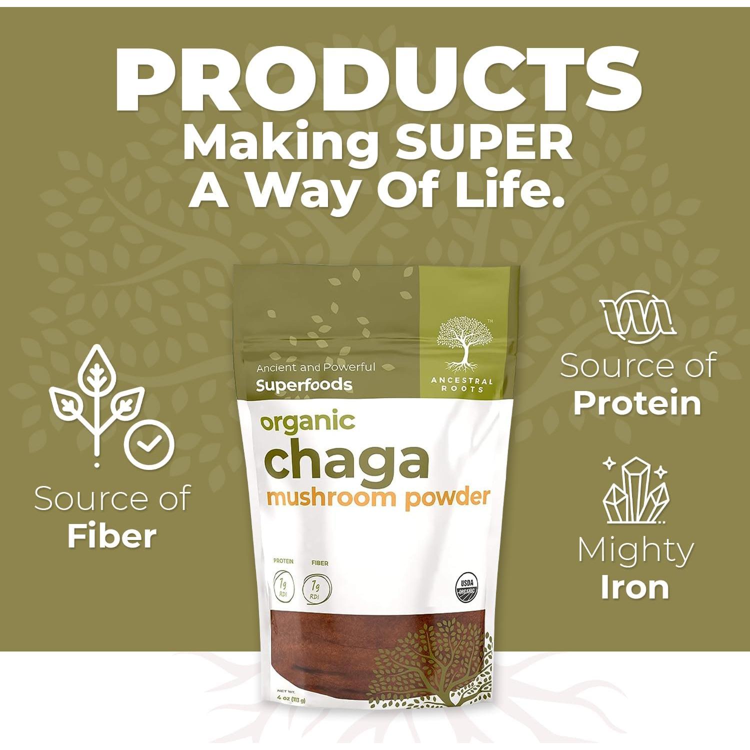 Polvo de Hongo Chaga Orgánico Raíces Ancestrales 113.4 g