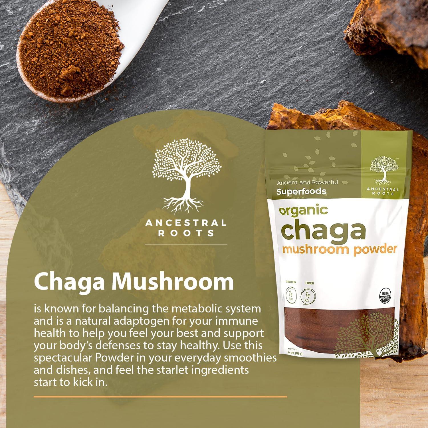 Polvo de Hongo Chaga Orgánico Raíces Ancestrales 113.4 g