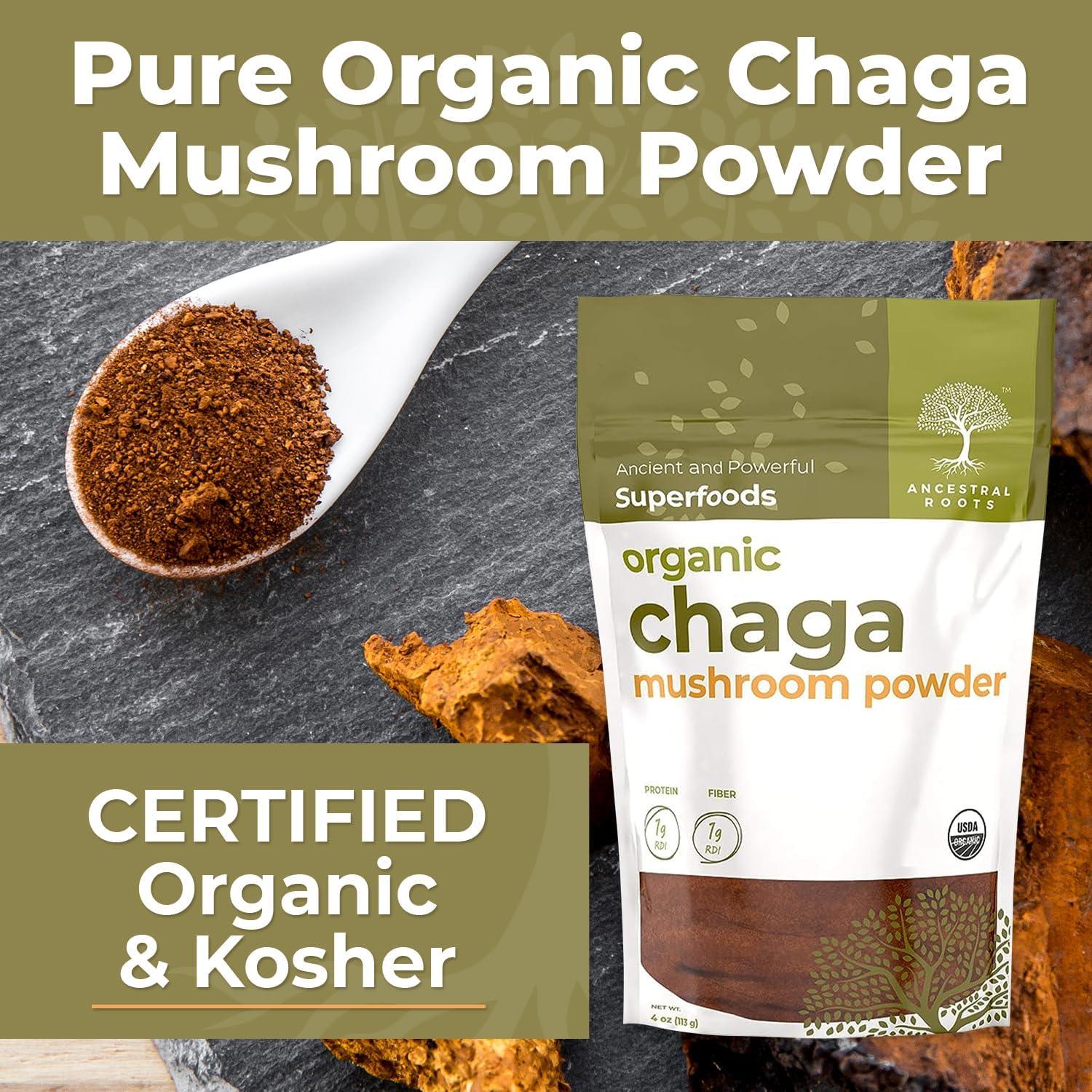 Polvo de Hongo Chaga Orgánico Raíces Ancestrales 113.4 g