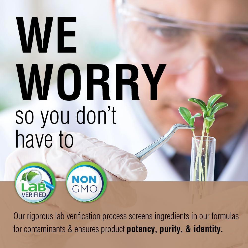 Suplemento Hongo Chaga Fermentado Solaray 500 mg - 60 VegCaps