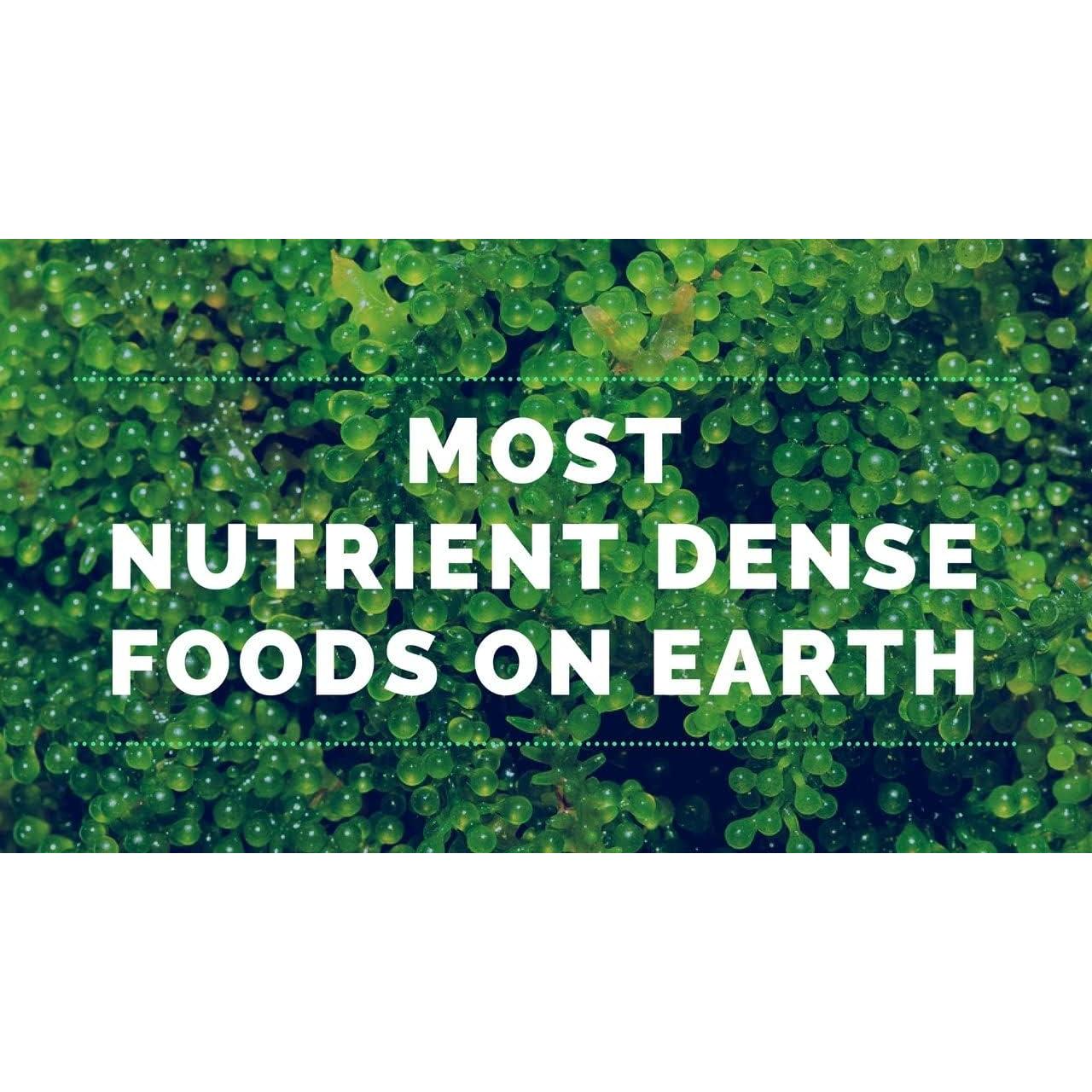 Polvo de Chlorella Orgánica Buy Wellness 113 g - Superfood Vegano