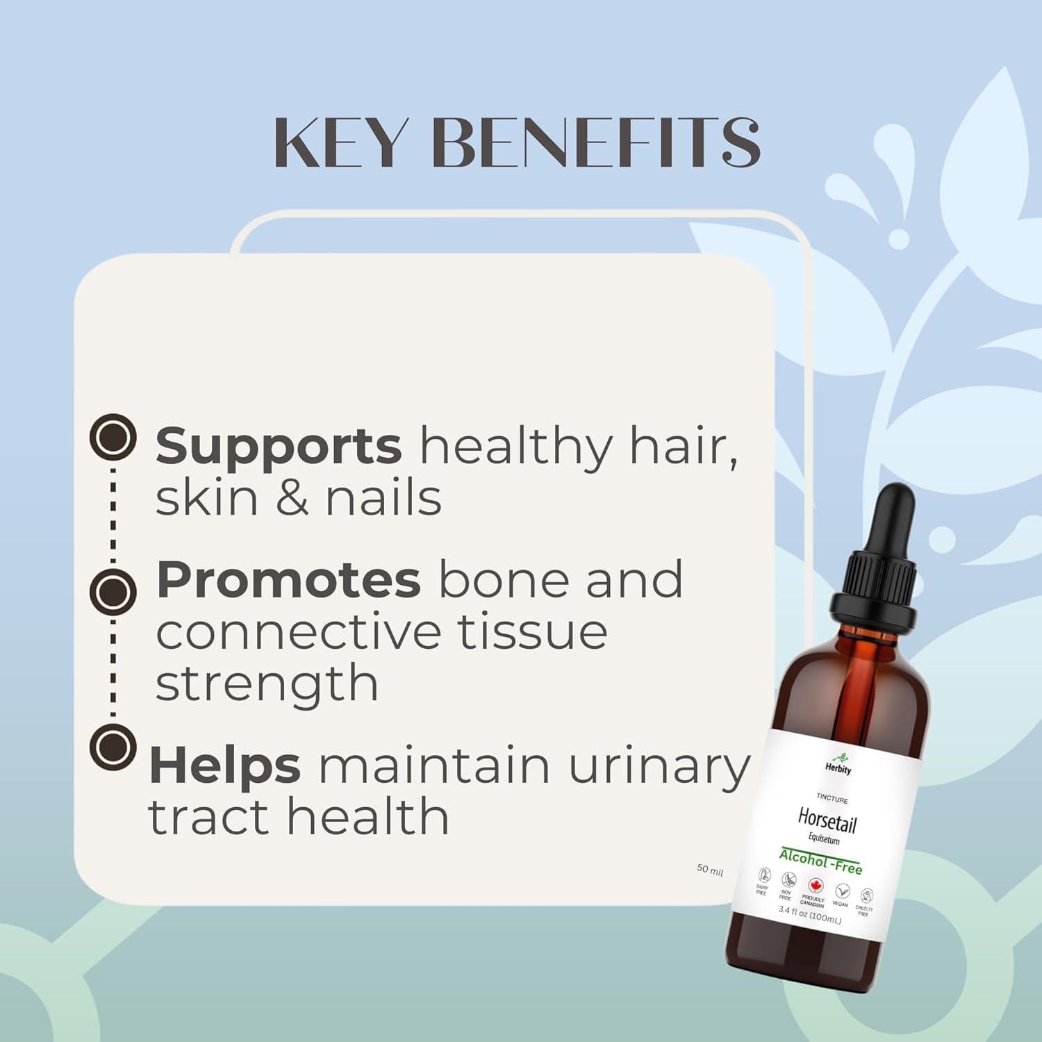 Tintura de Cola de Caballo Herbity 100 ml - Suplemento Vegano