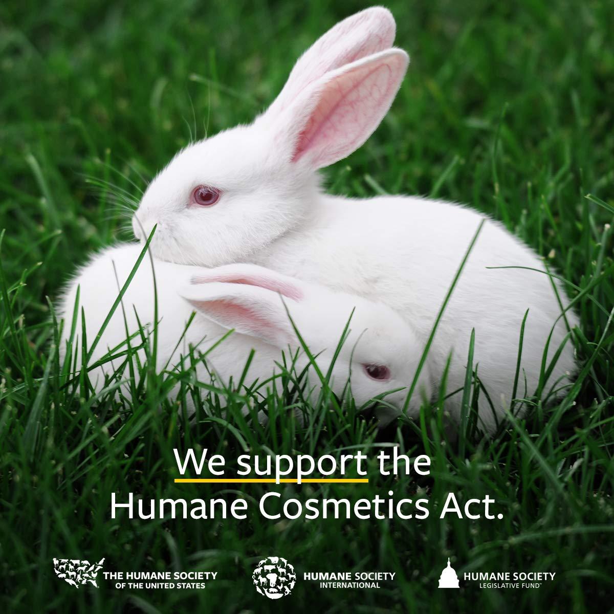 Aceite Esencial de Yarrow 100% Puro US Organic 5 ml