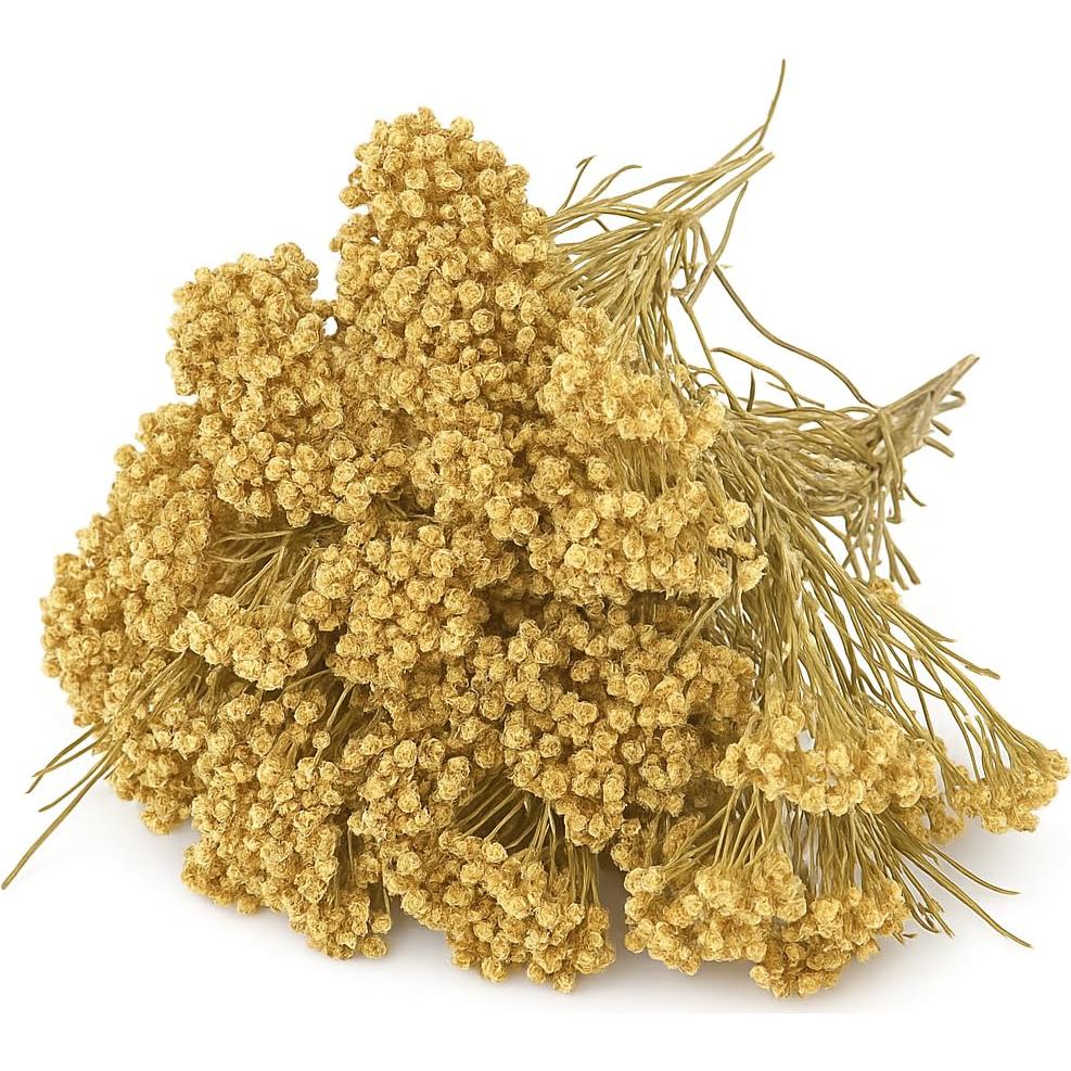 Flores de Yarrow Secas Orgánicas Premium 28.35 g - Hierbas Bio