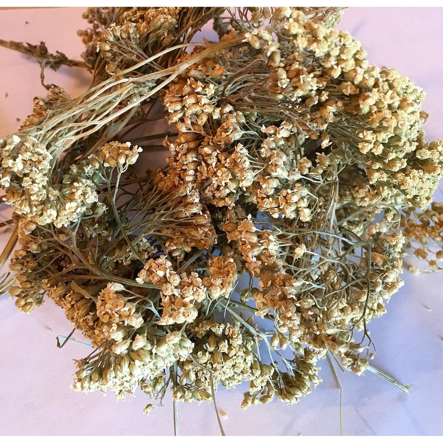 Flores de Yarrow Secas Orgánicas Premium 28.35 g - Hierbas Bio