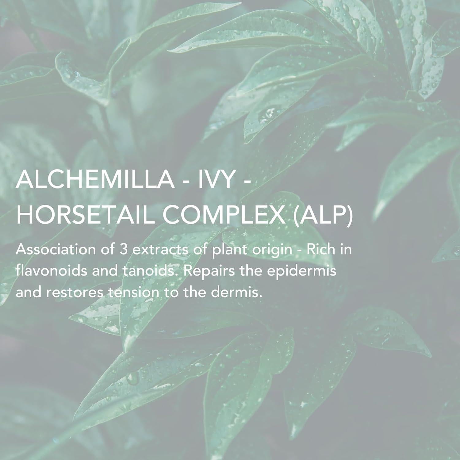 Crema Suavizante LIERAC PHYTOLASTIL para Estrías 75ml