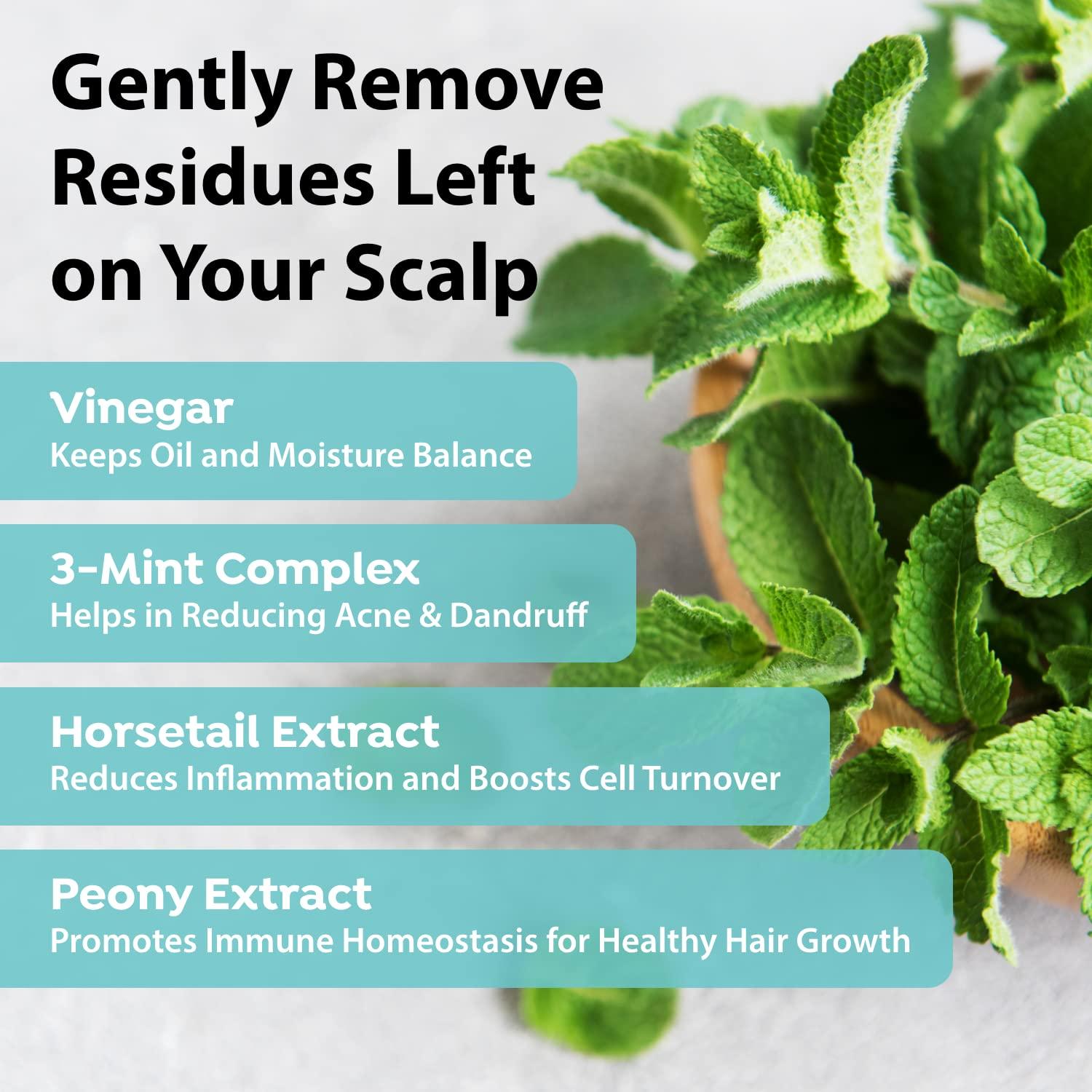 A'PIEU Vinagre de Menta para Cabello 199.5 ml - Control de Aceite