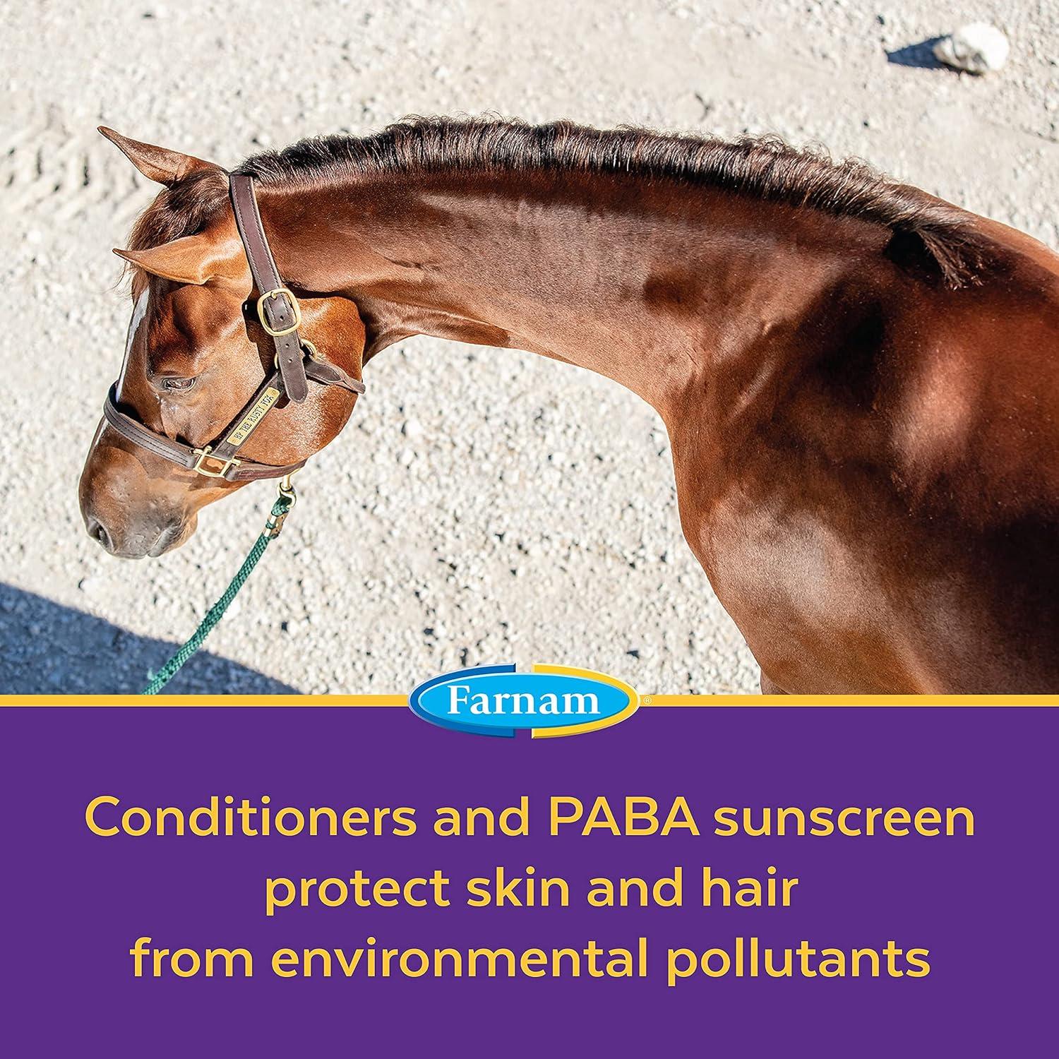 Champú Ultra Hidratante Vetrolin Bath 1.89L para Caballos y Perros