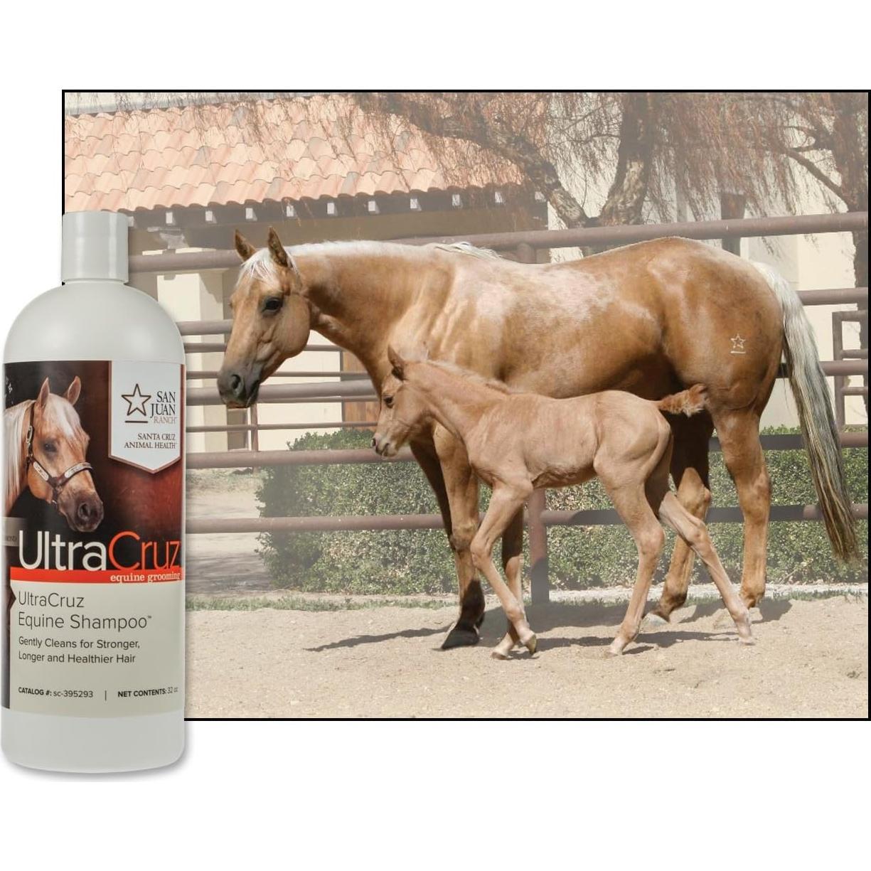 Champú para Caballos UltraCruz 946 ml - Hidrata y Fortalece